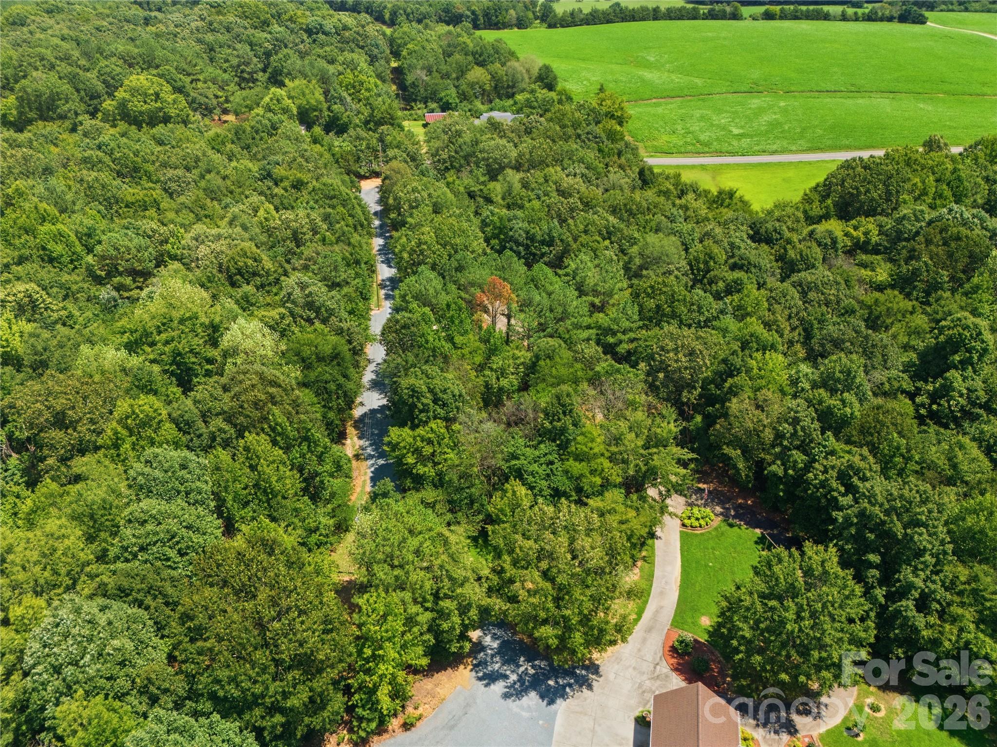main property photo 46