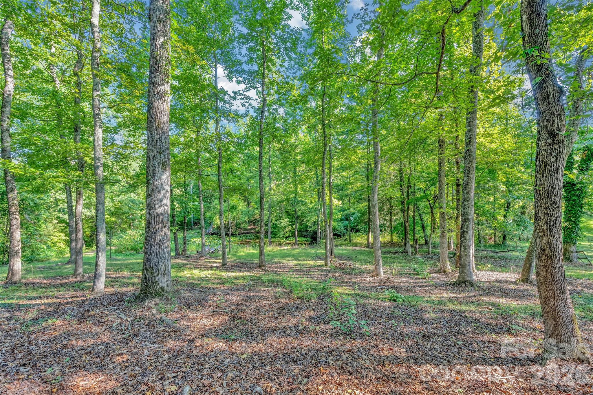 main property photo 38