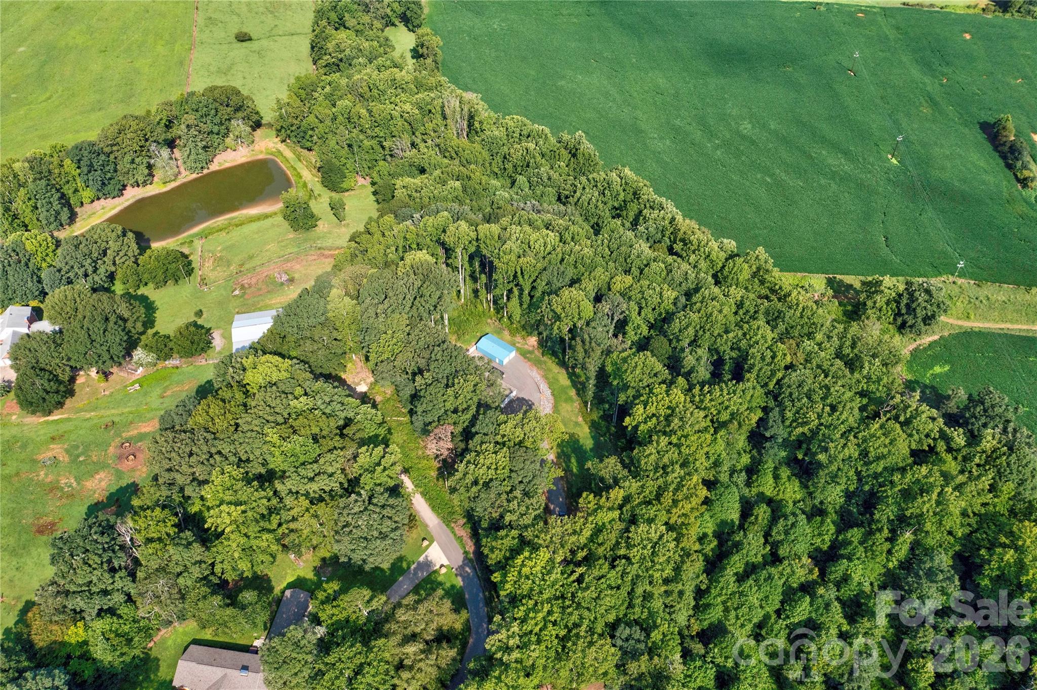 main property photo 29