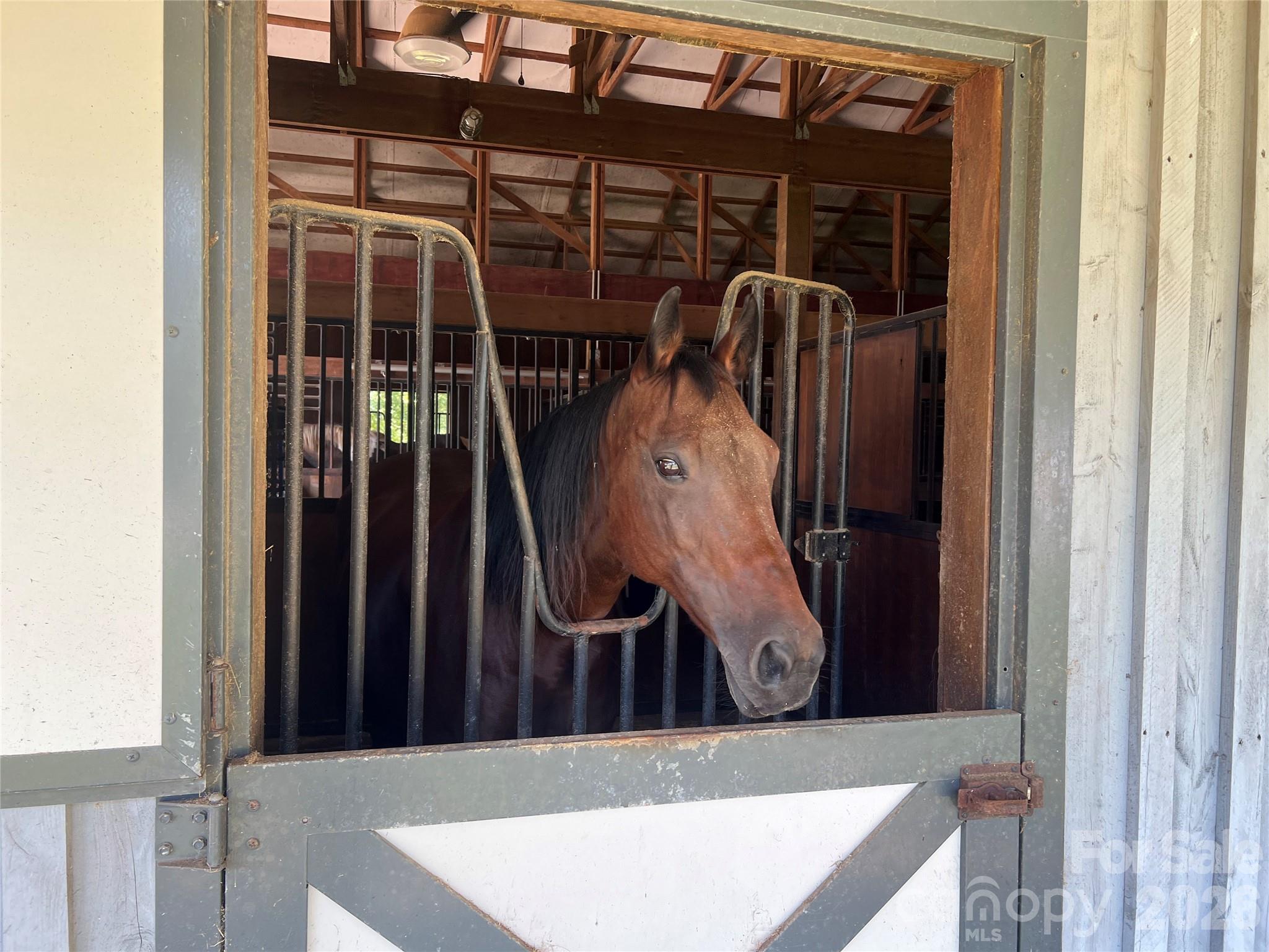 main property photo 36