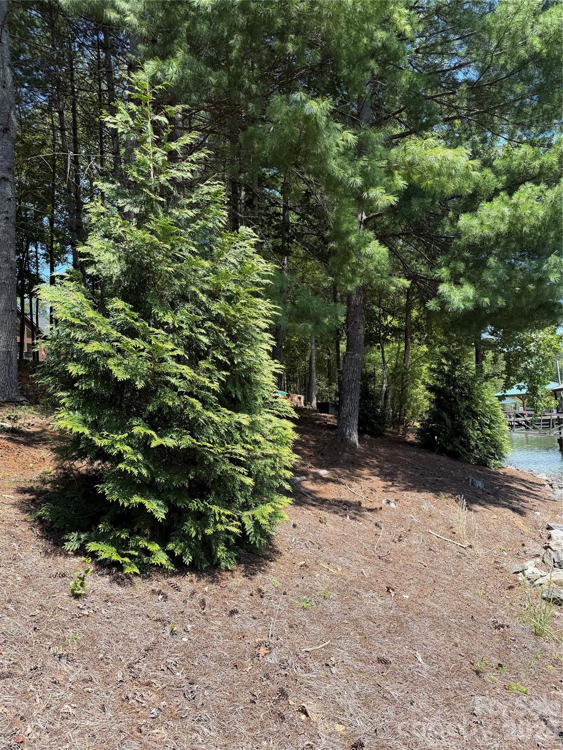 main property photo 24