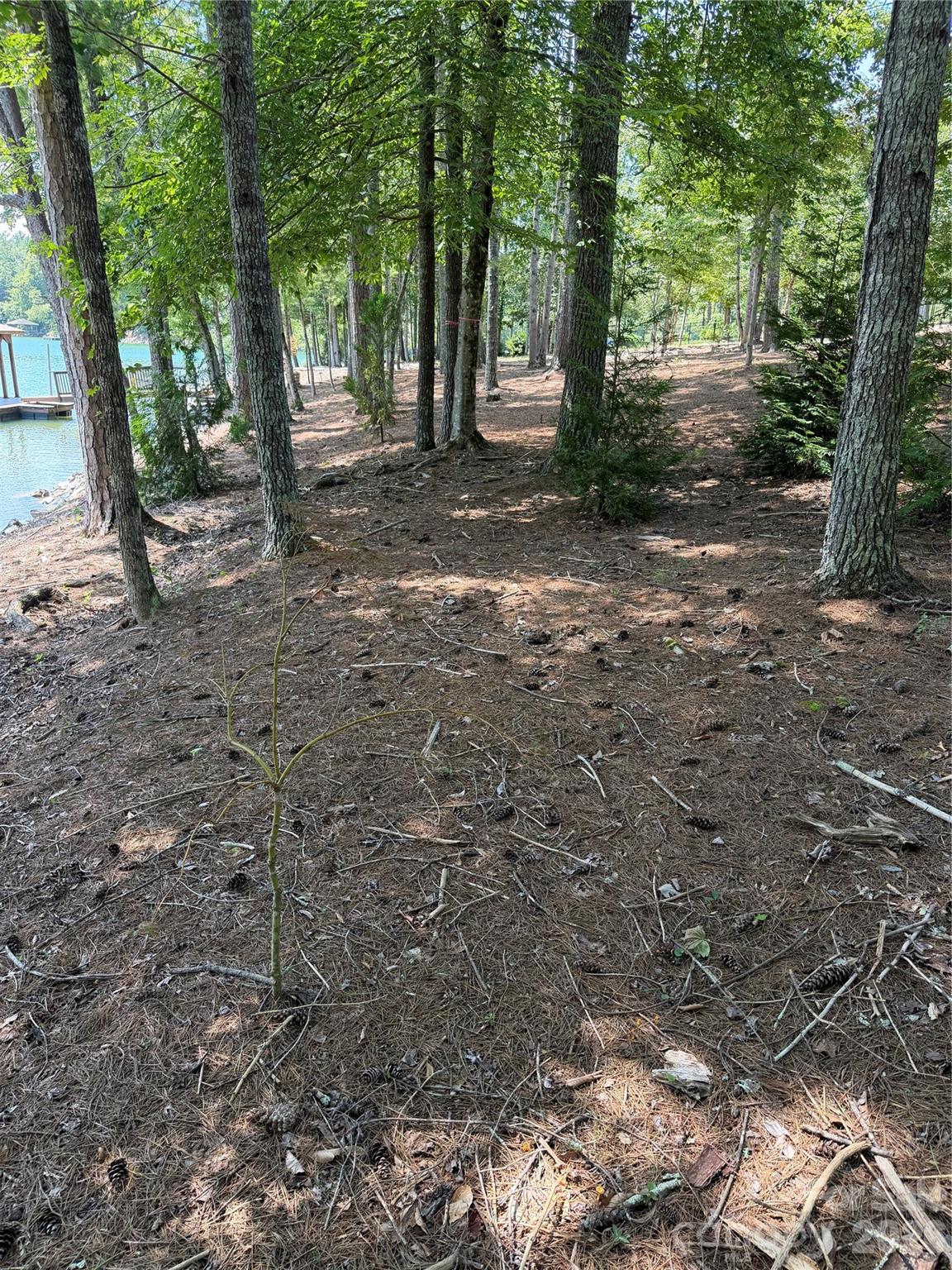 main property photo 25