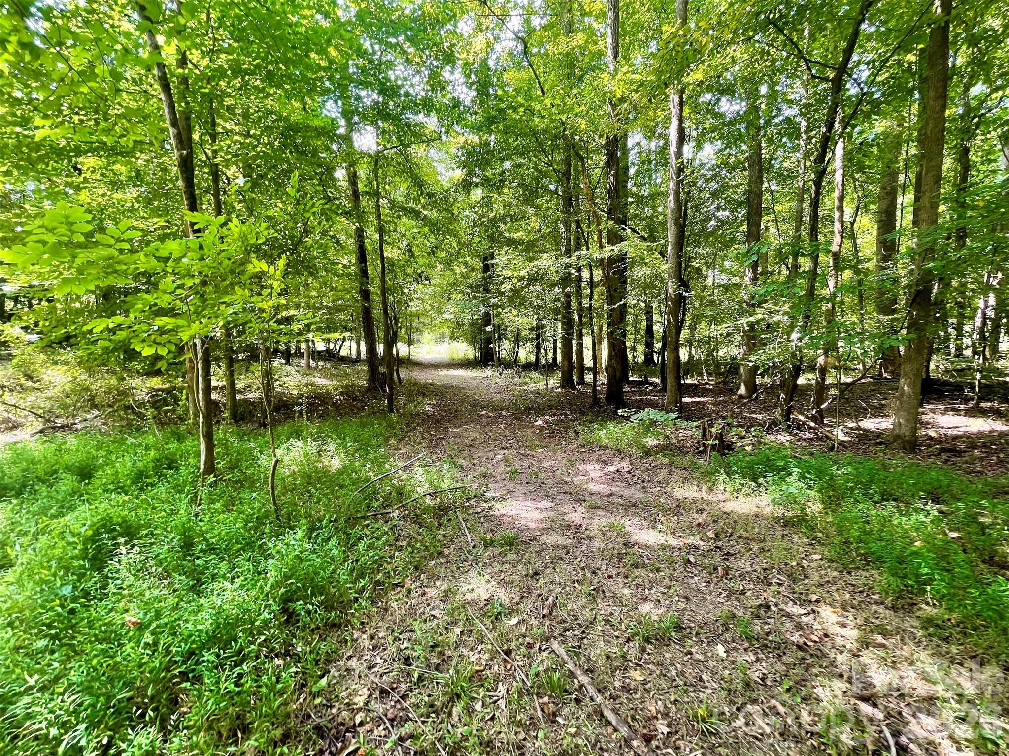 main property photo 47