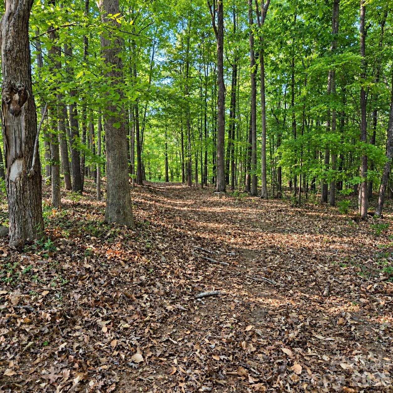 main property photo 46