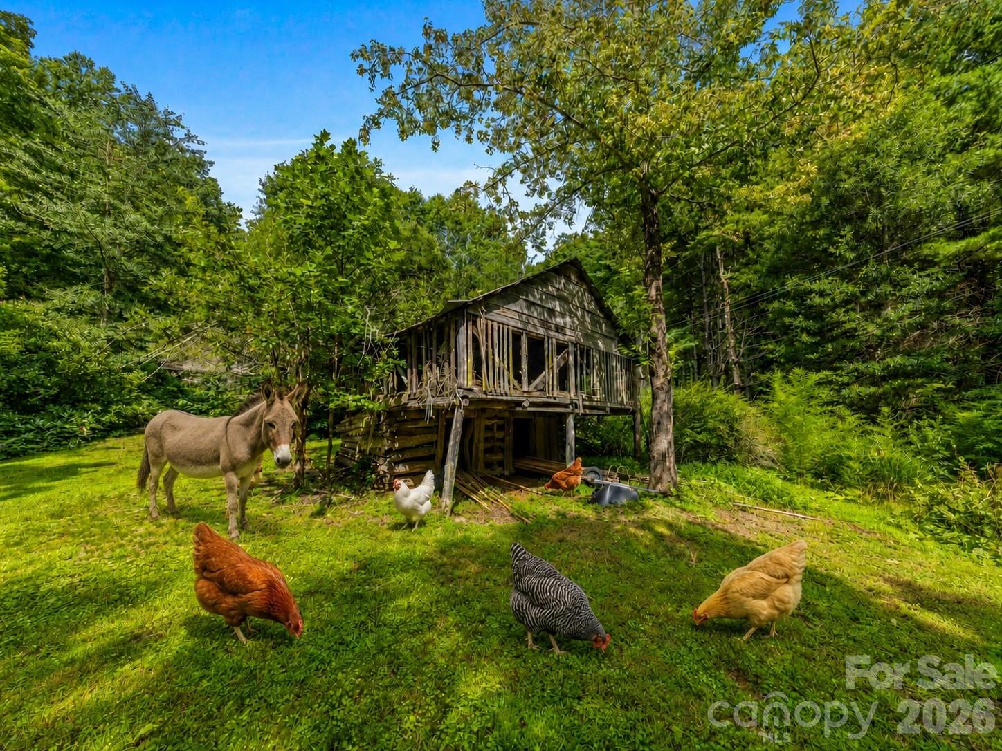 main property photo 38