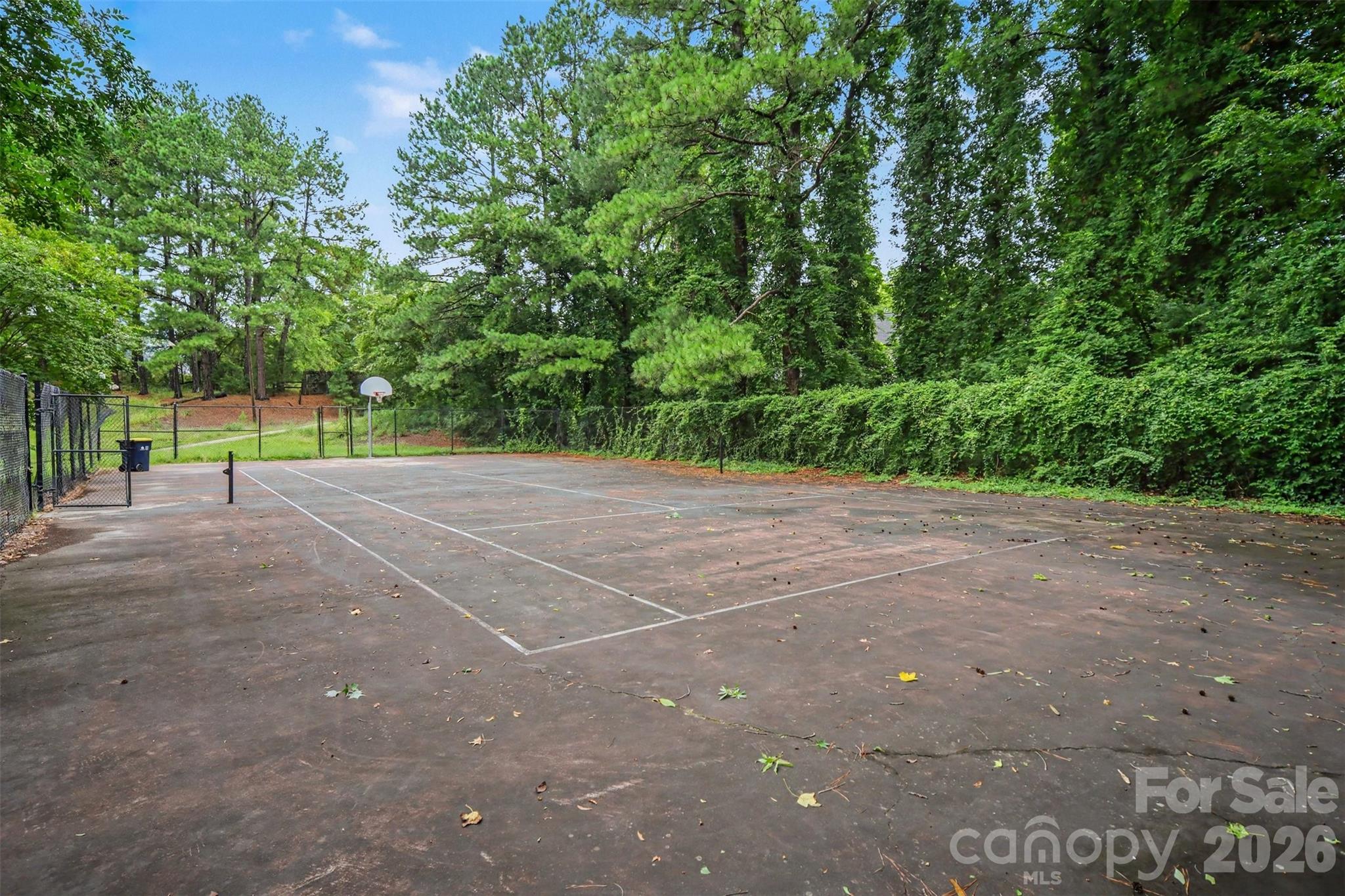 main property photo 47