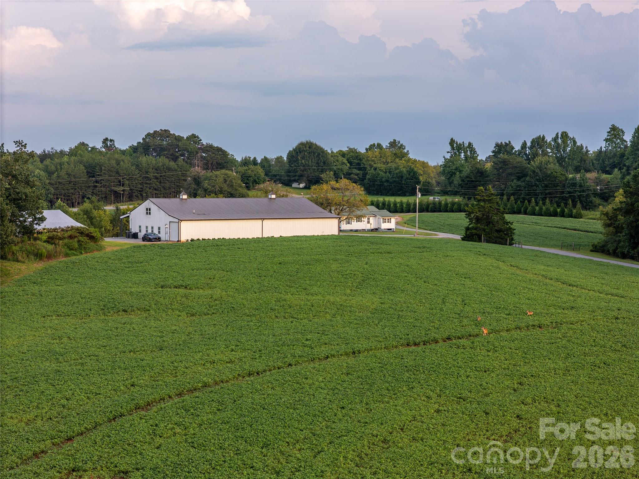 main property photo 14