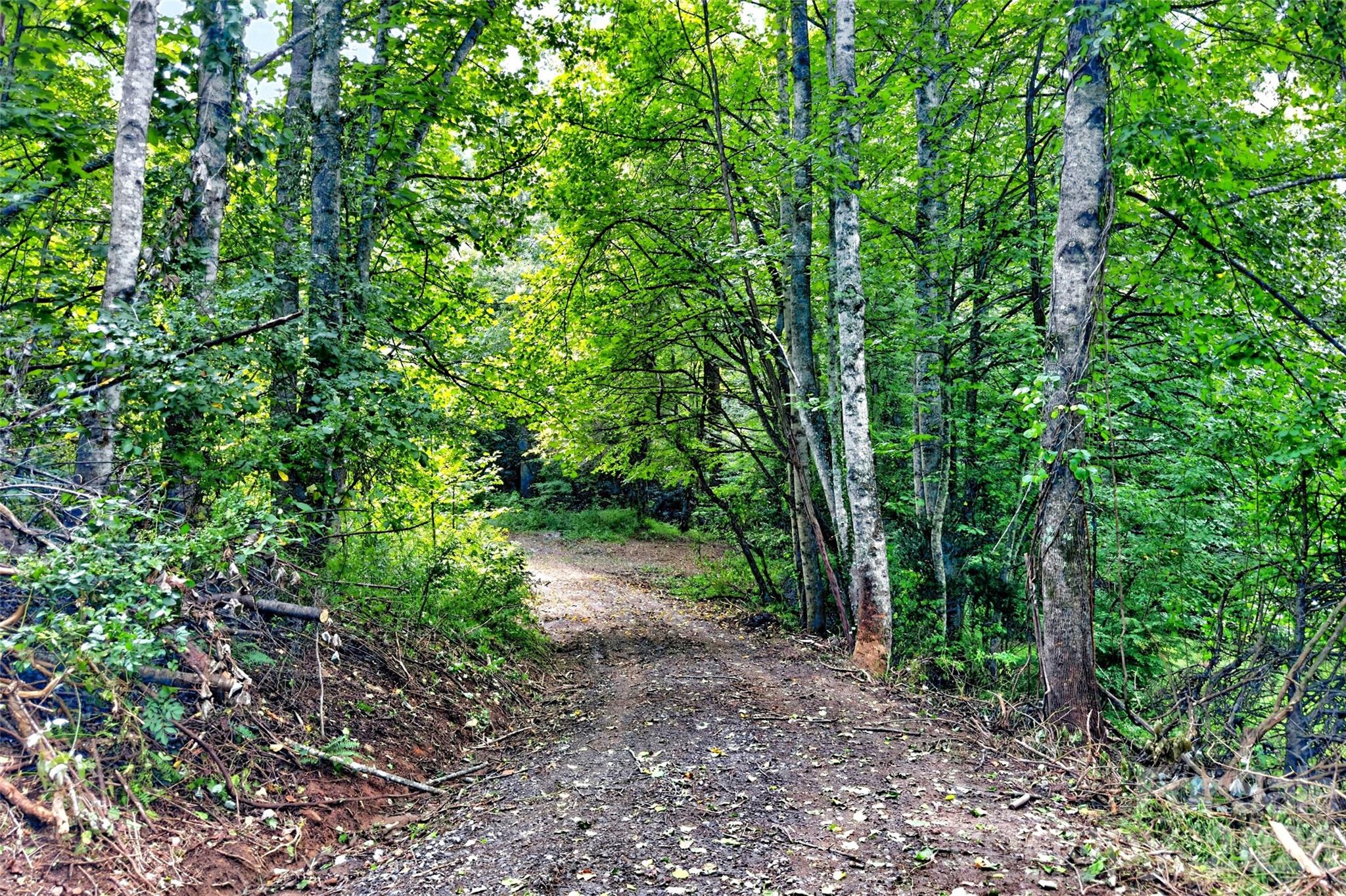 main property photo 16