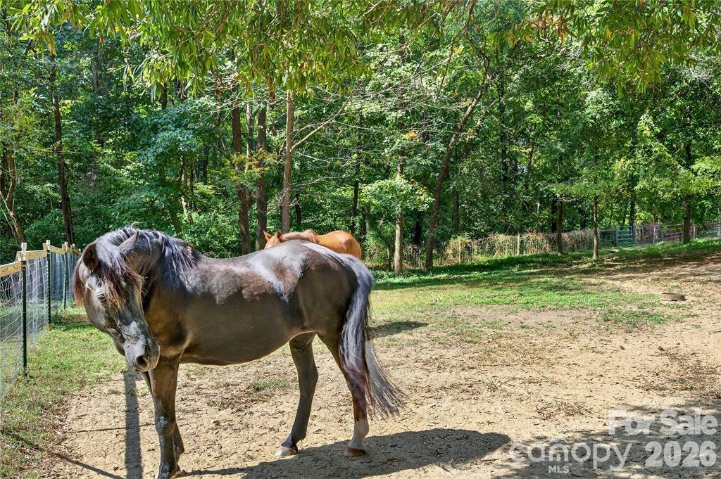 main property photo 47