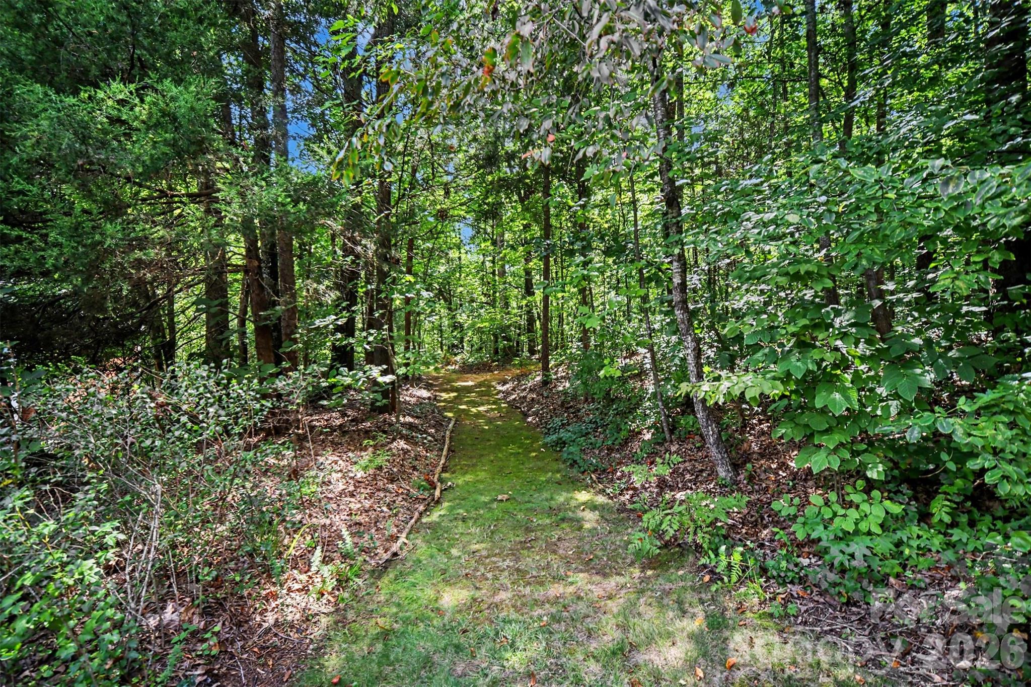 main property photo 46