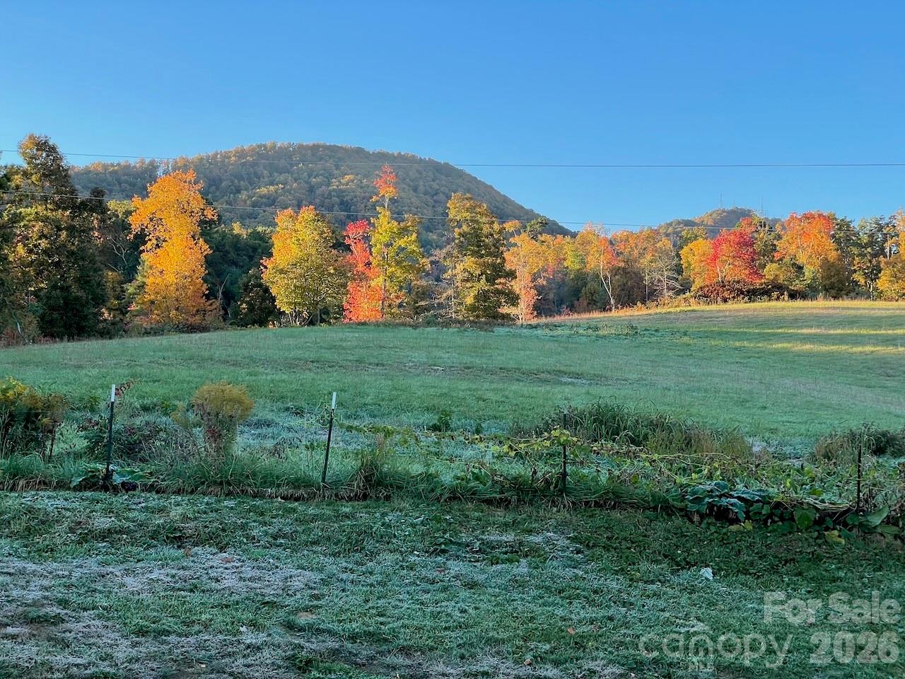 main property photo 37