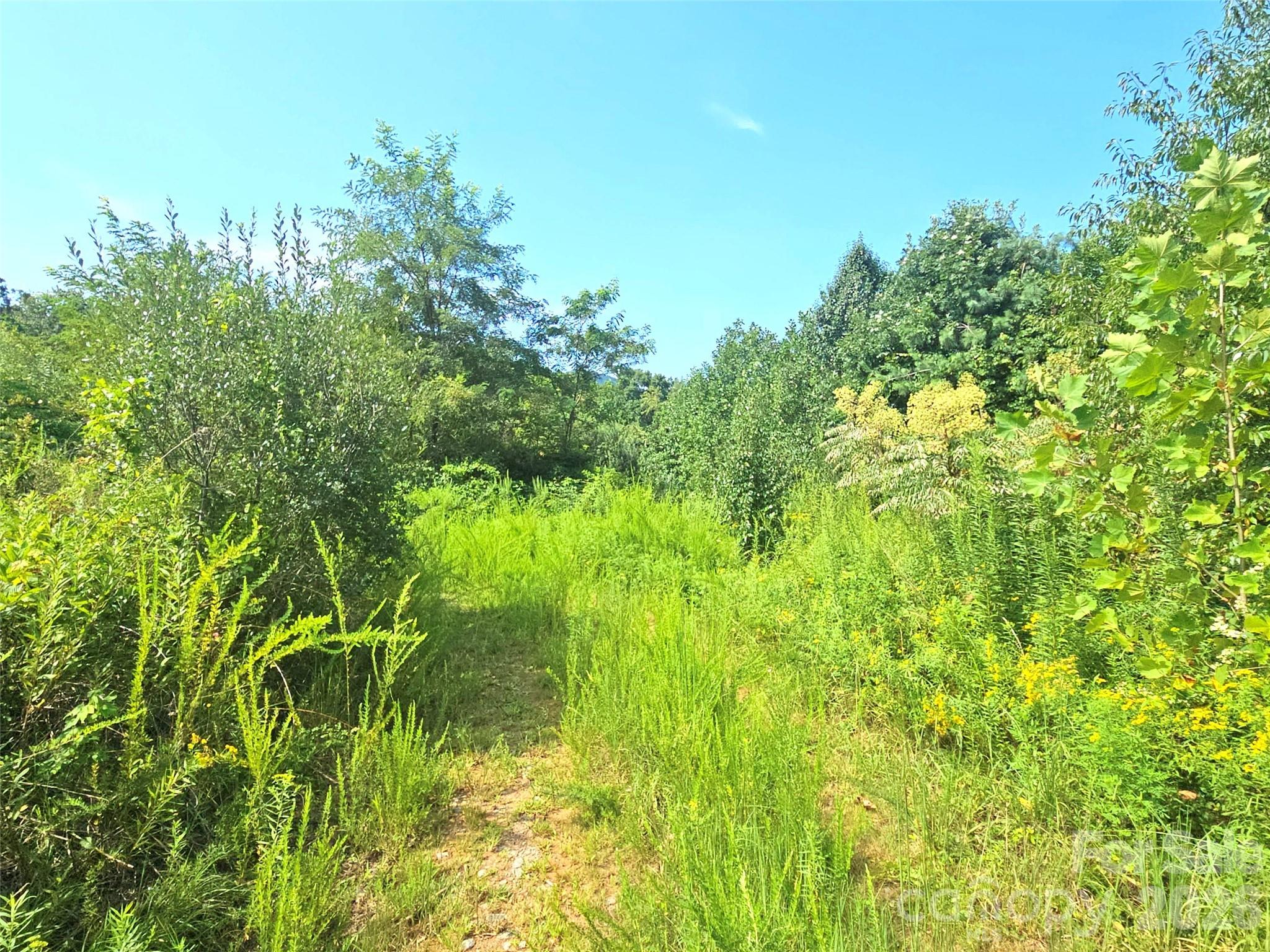 main property photo 45