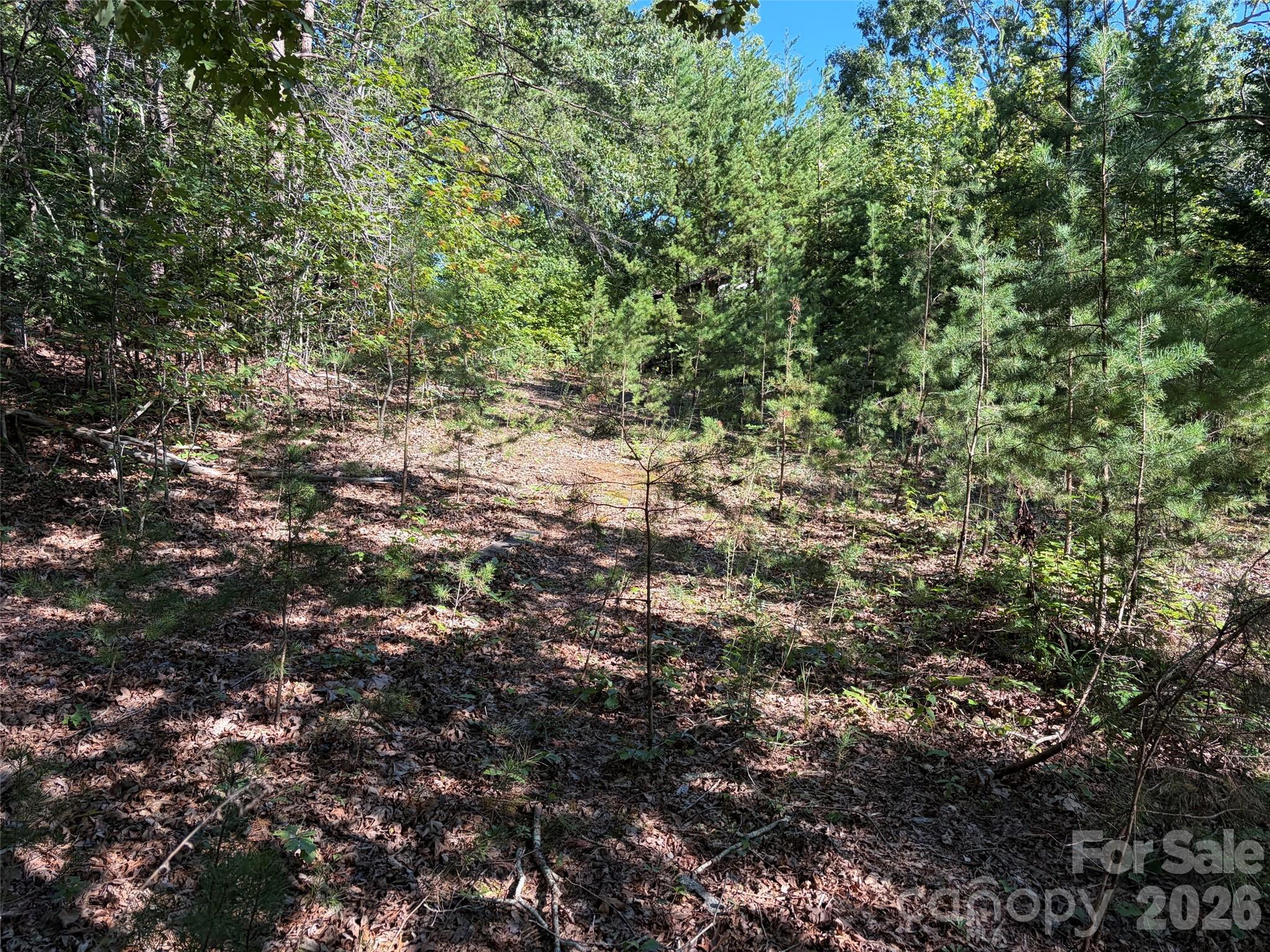 main property photo 20