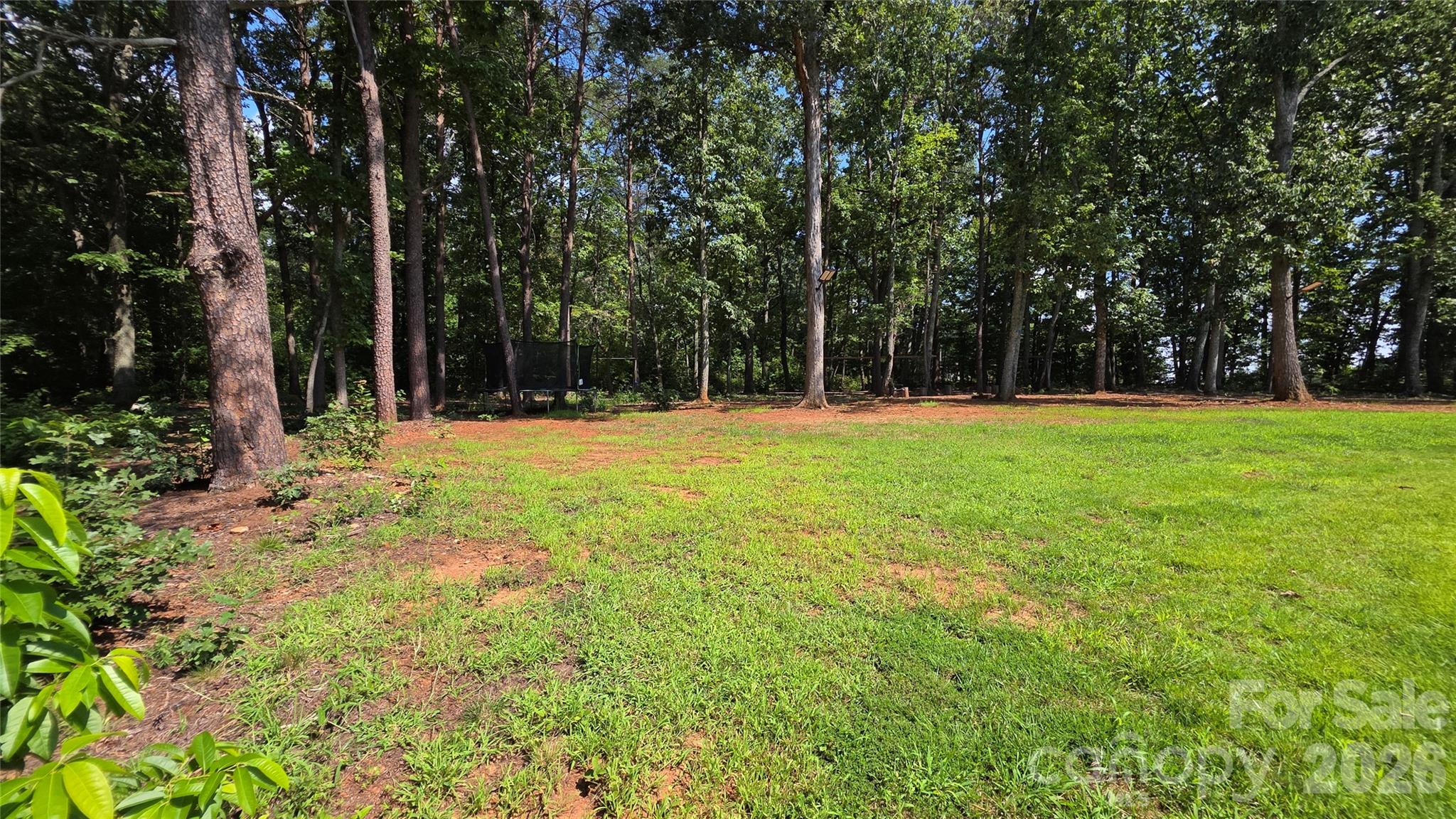 main property photo 46
