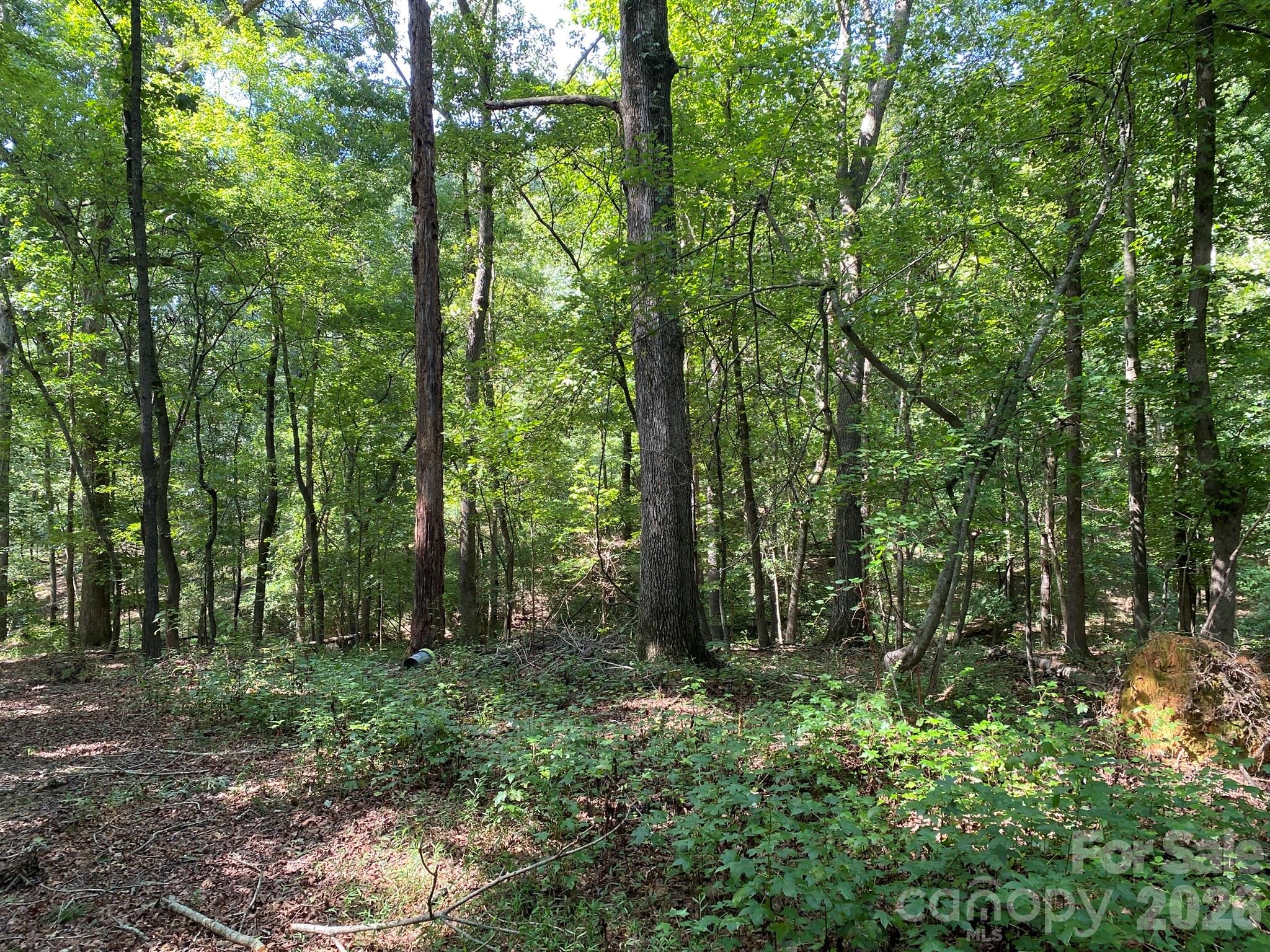 main property photo 11
