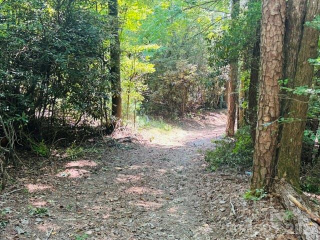 main property photo 17