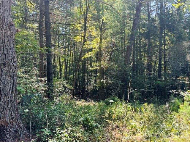 main property photo 20