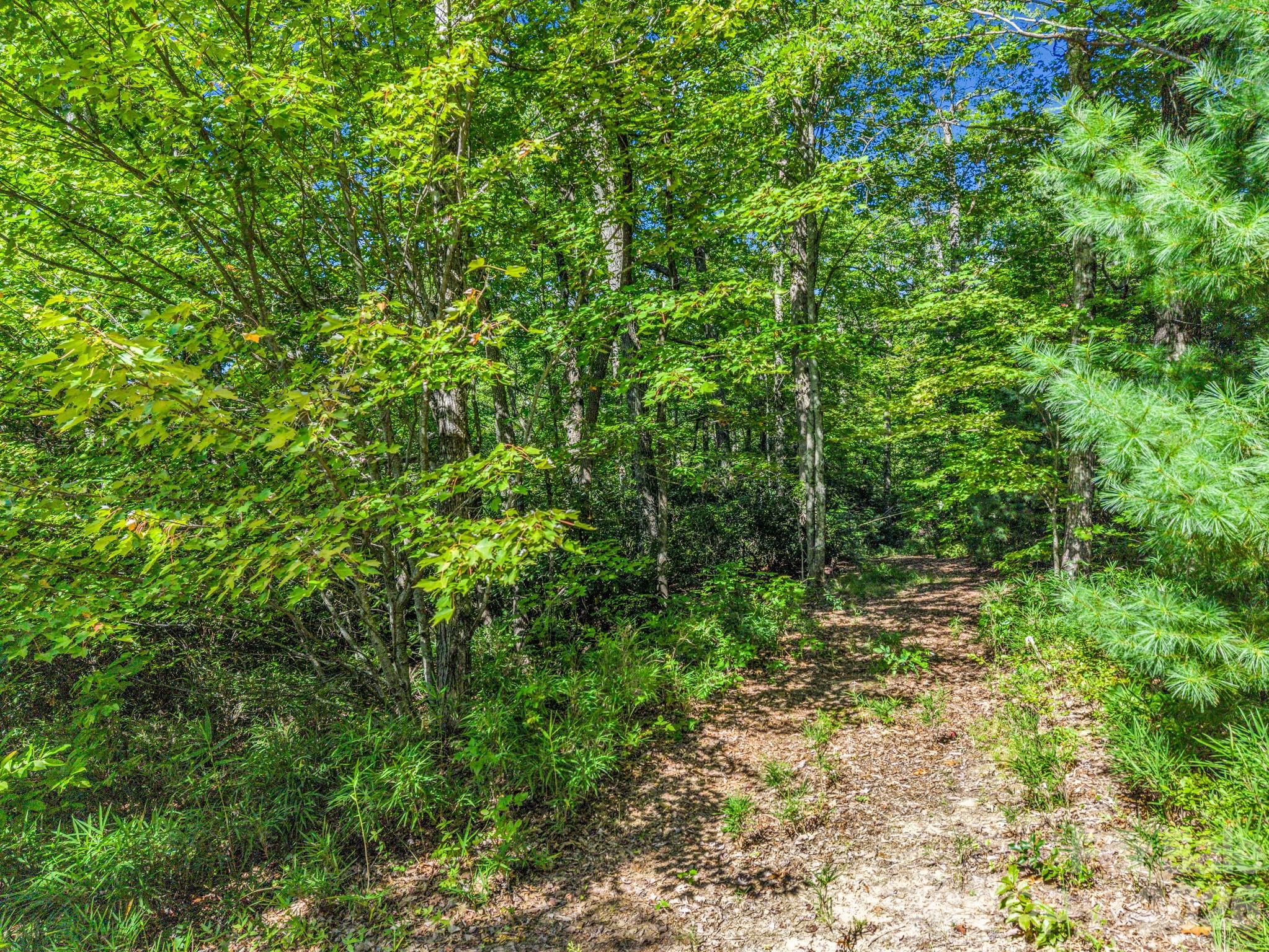 main property photo 37