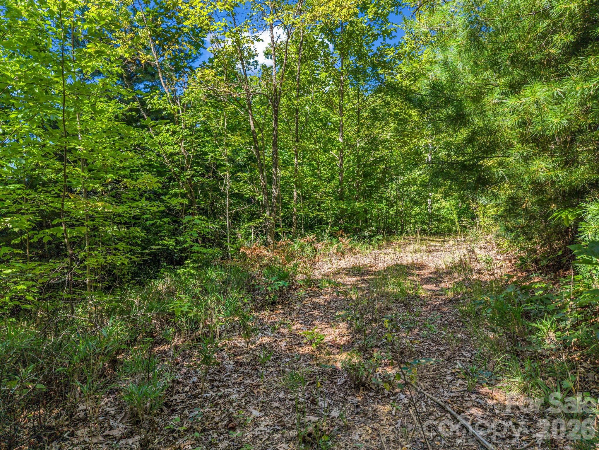 main property photo 41