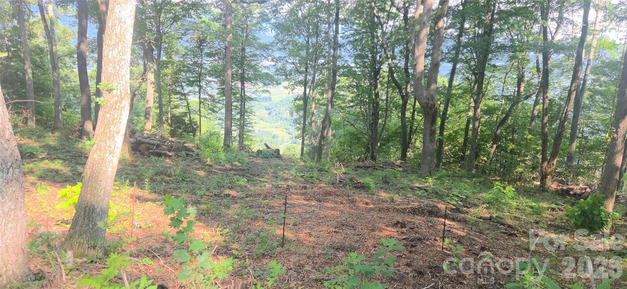main property photo 11