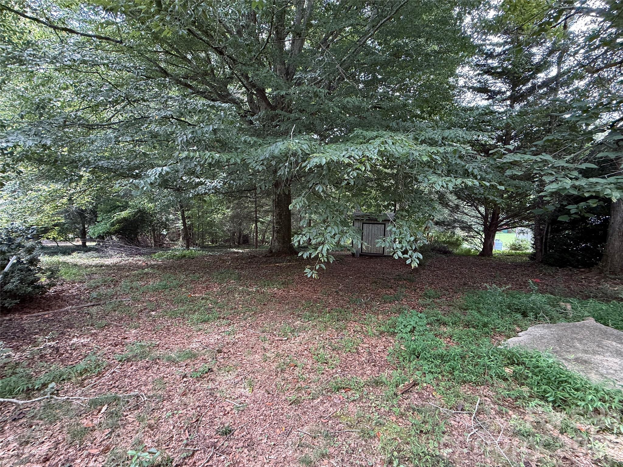 main property photo 27
