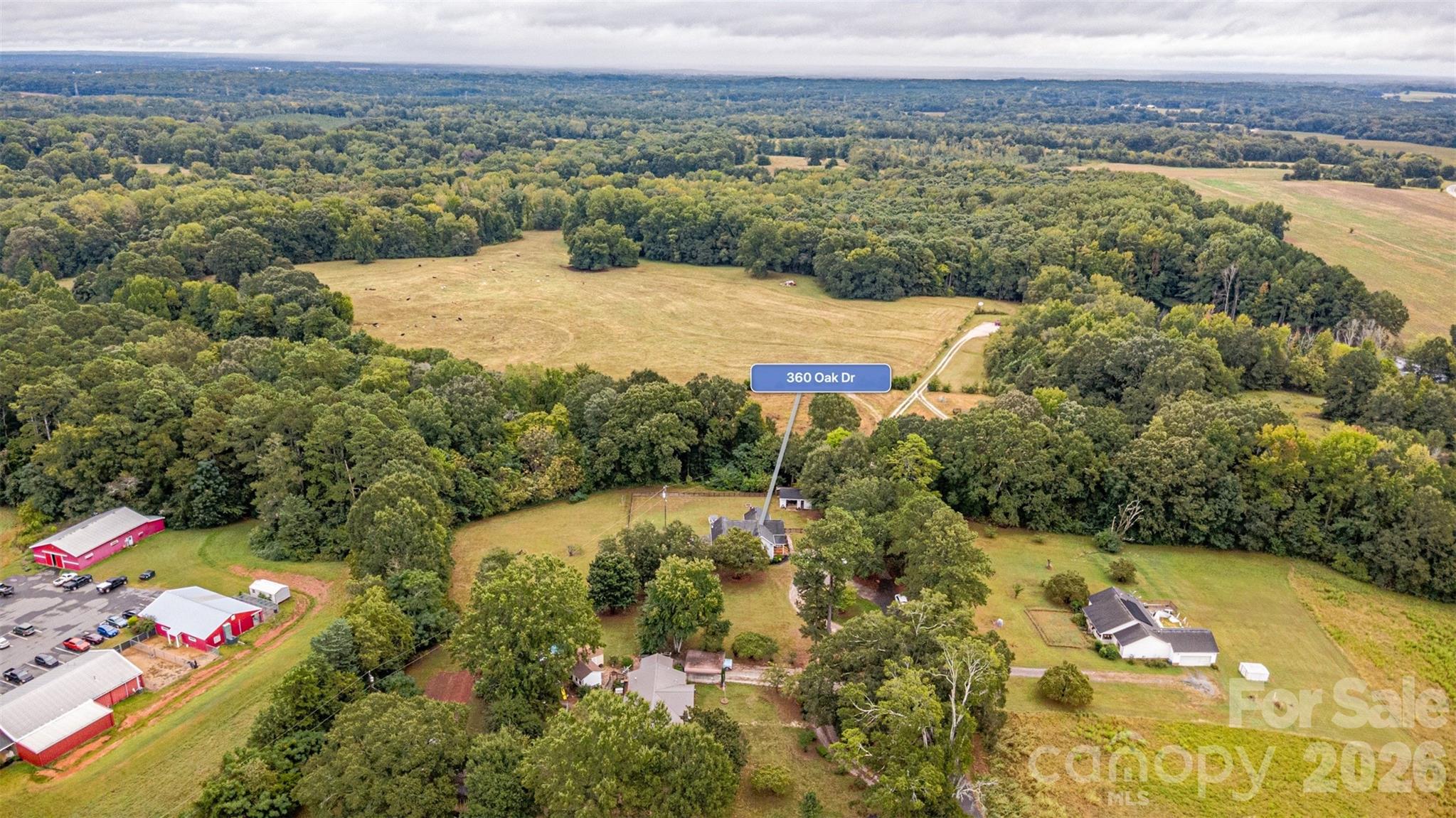 main property photo 42