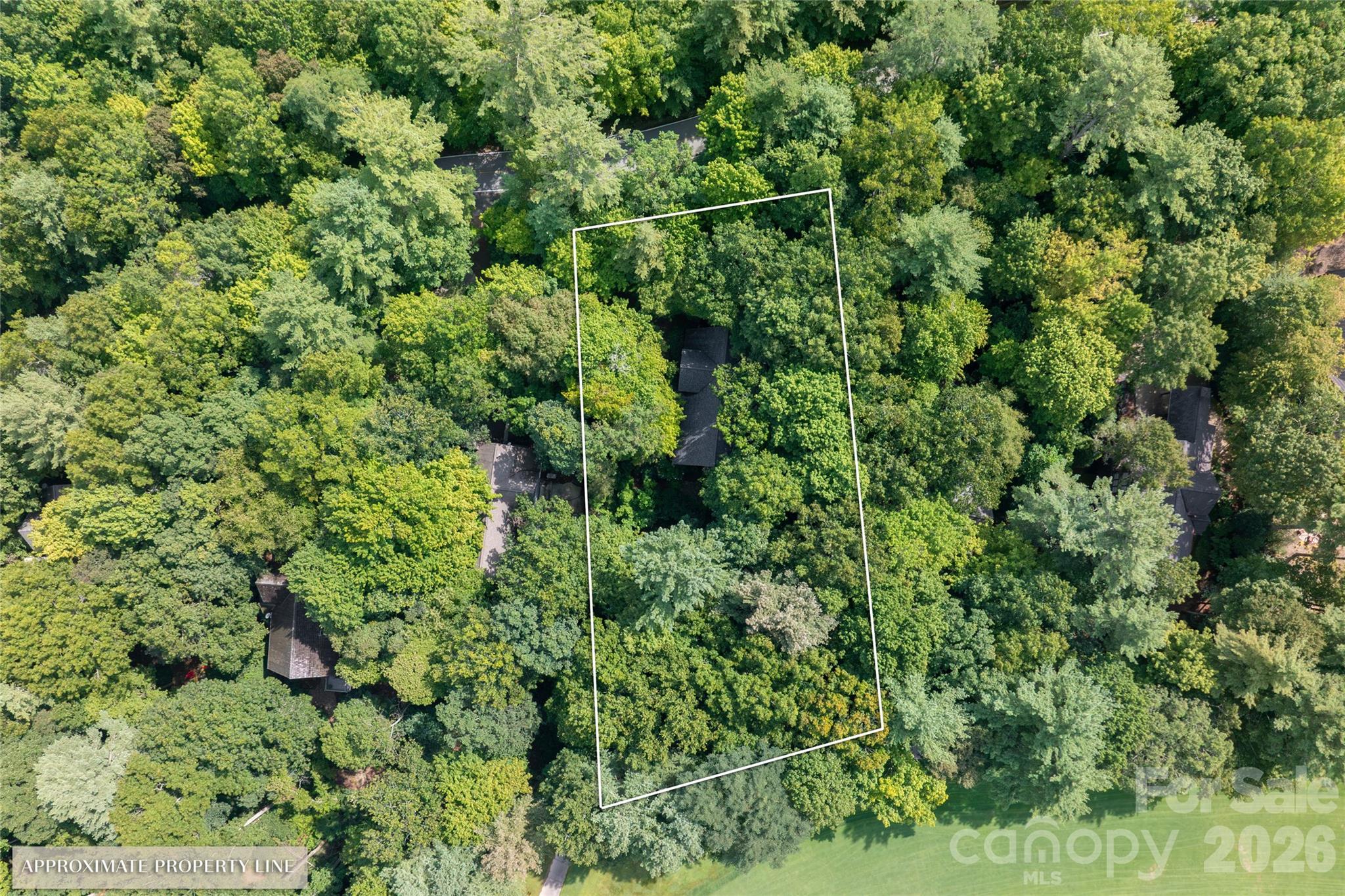 main property photo 39