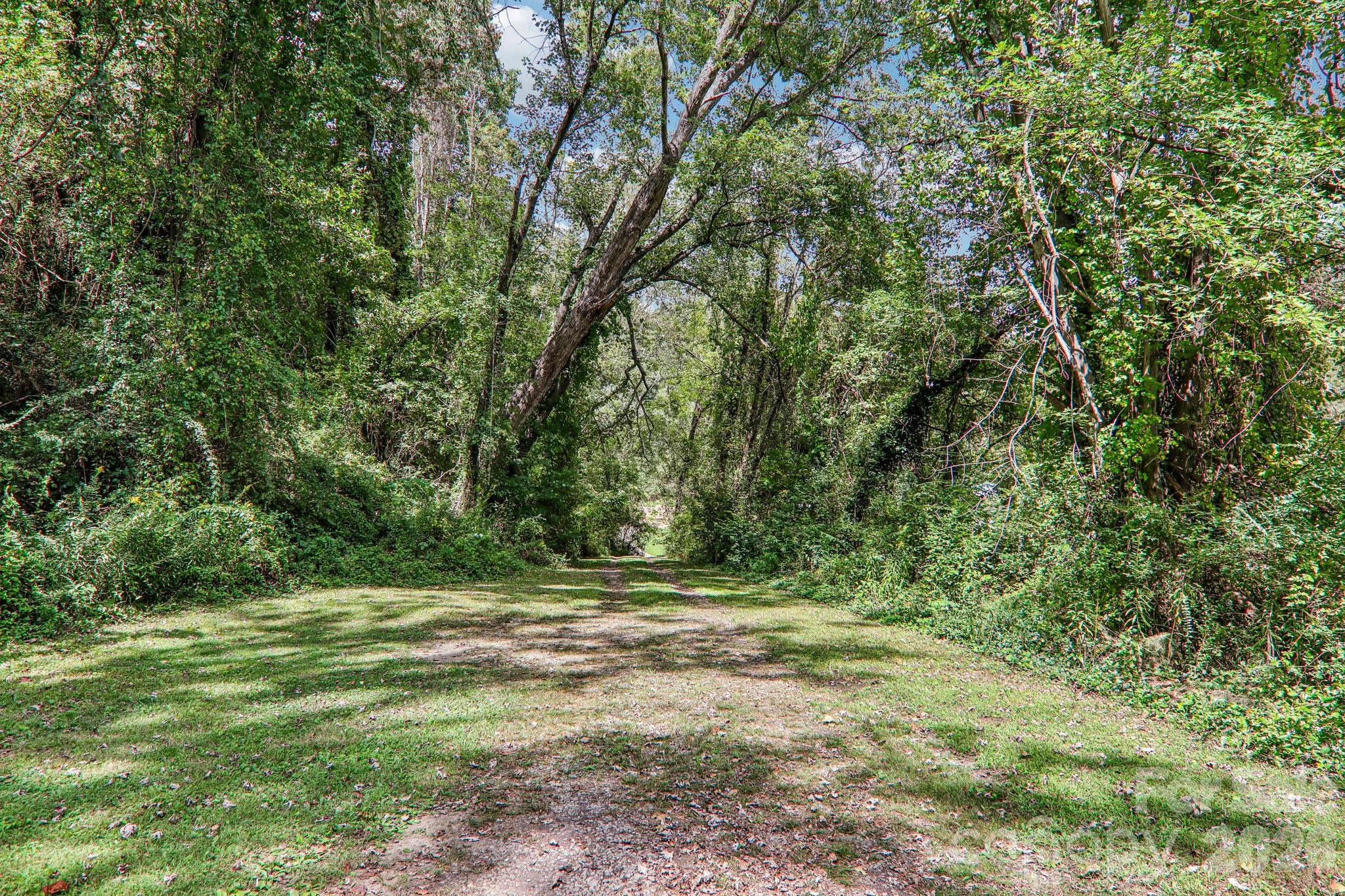 main property photo 42