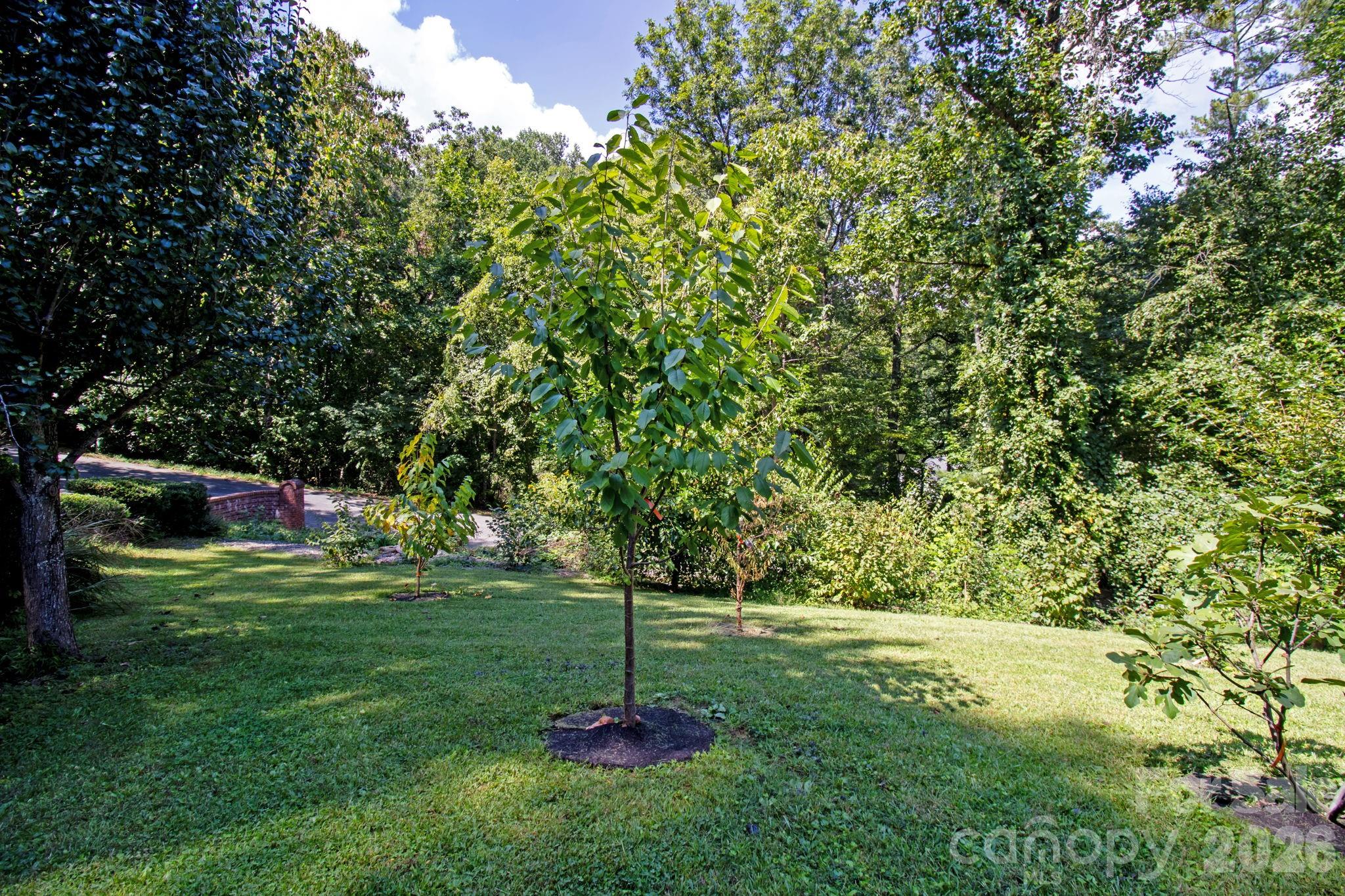 main property photo 43