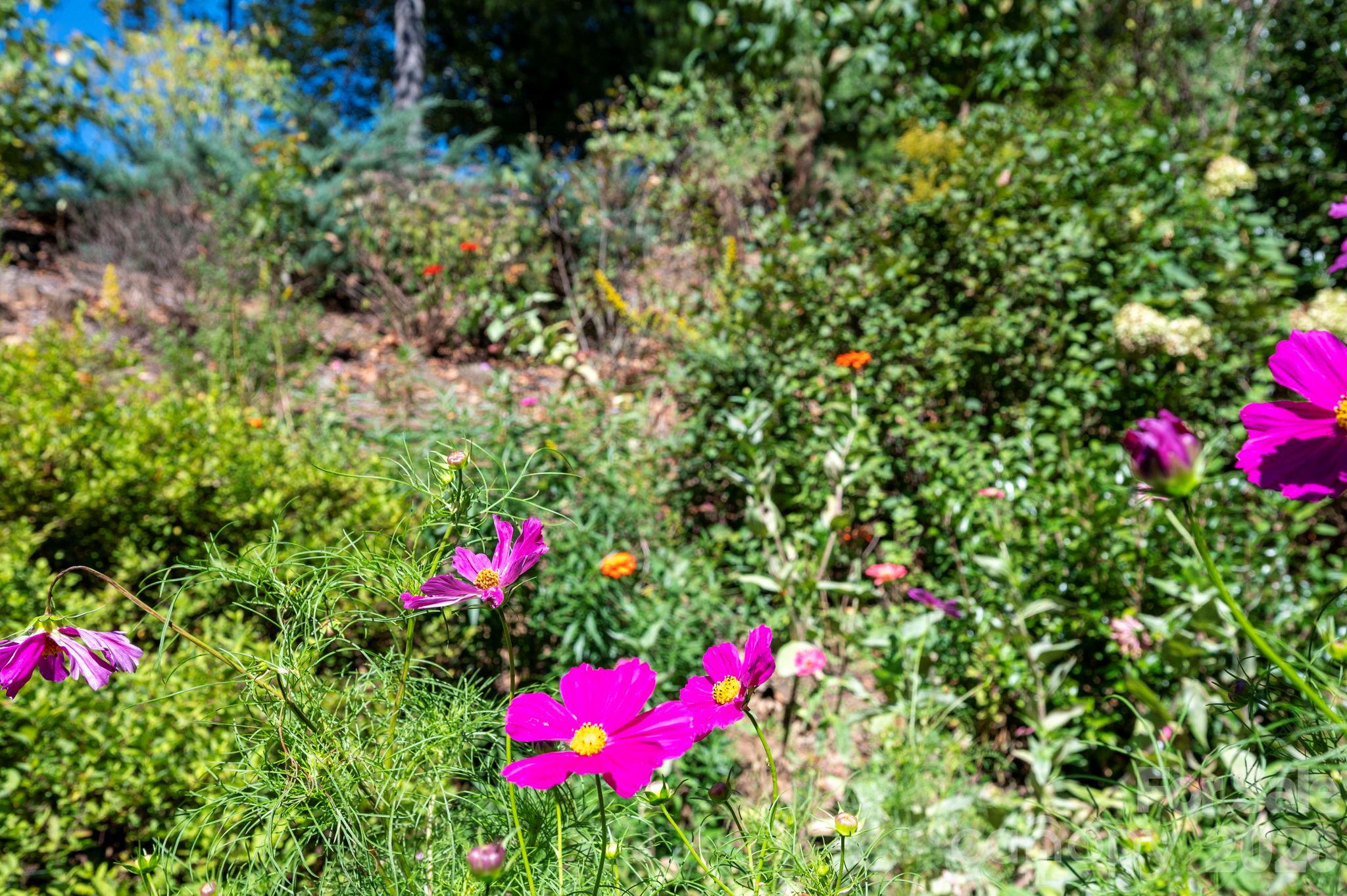 main property photo 24