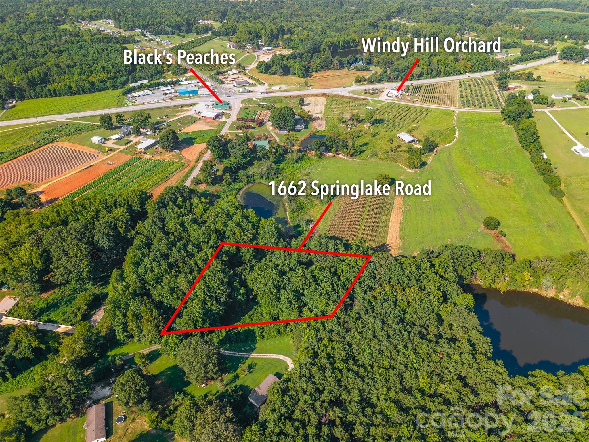 main property photo 6