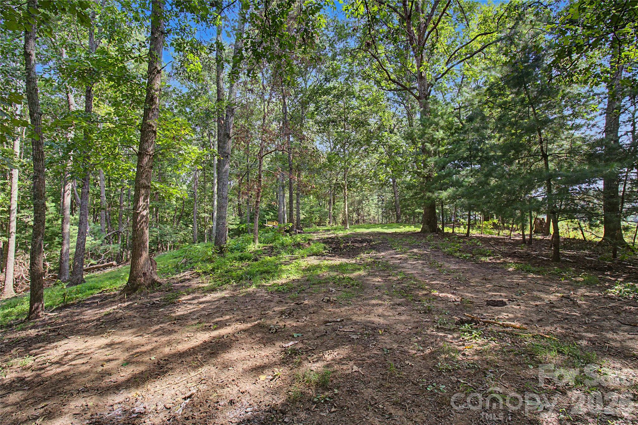 main property photo 13