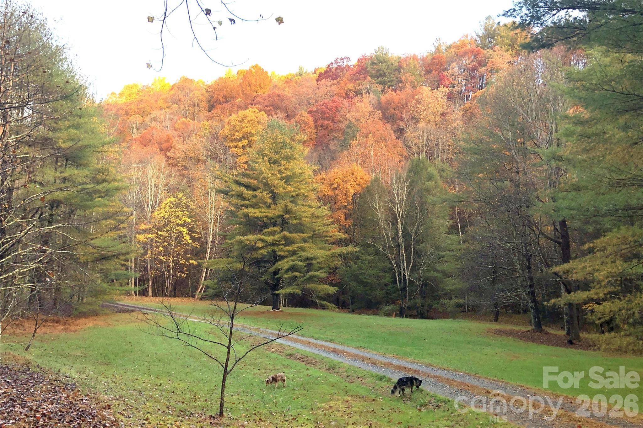 main property photo 43