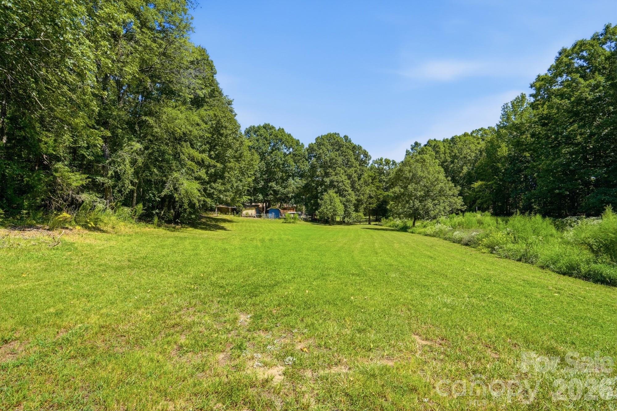 main property photo 42