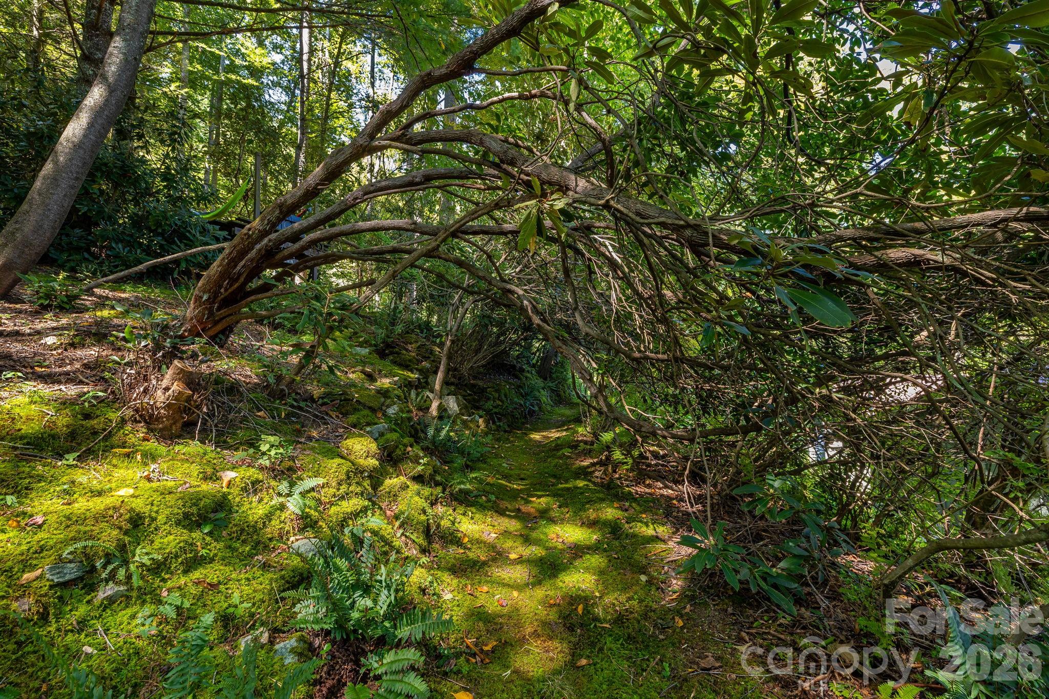 main property photo 40