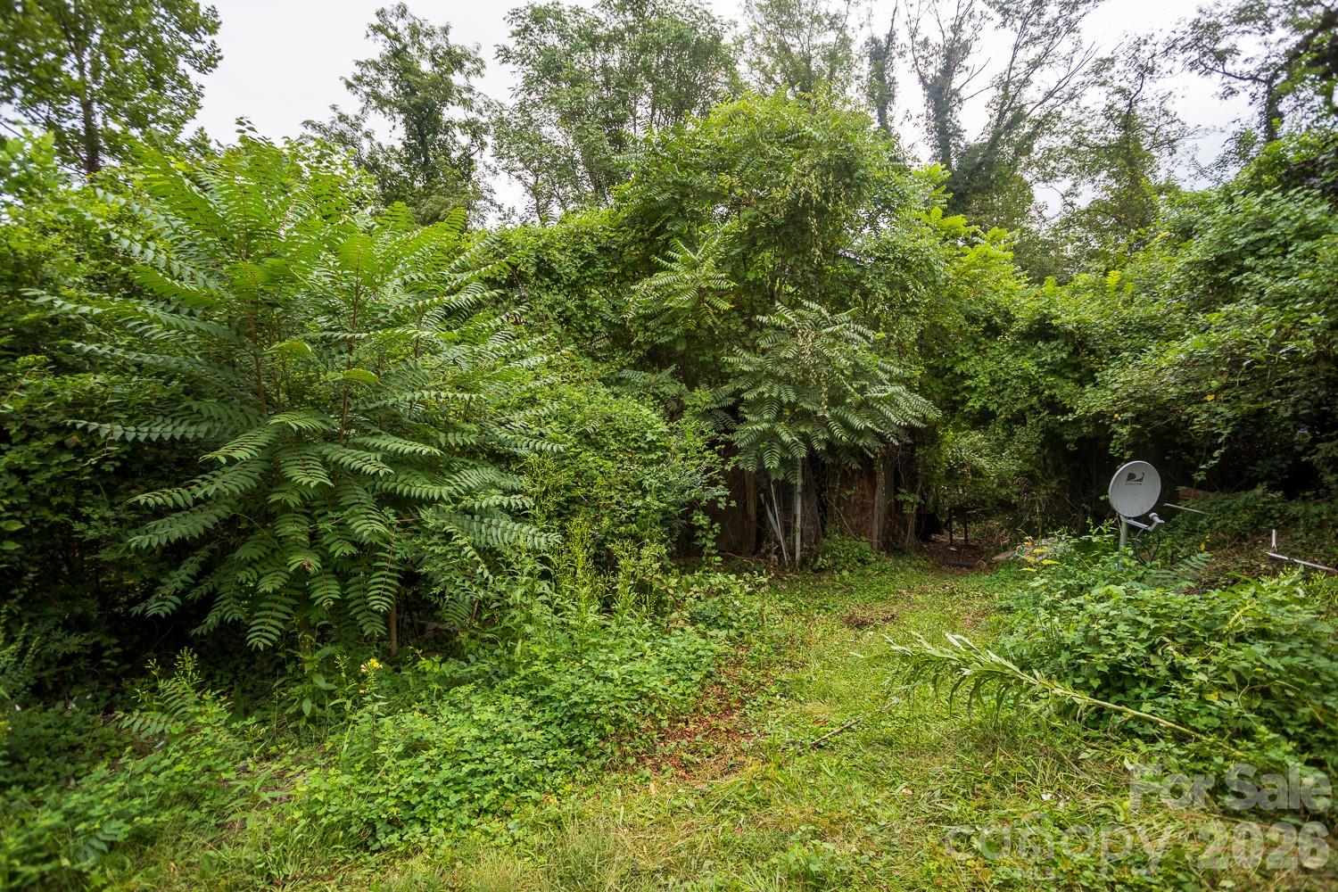 main property photo 10