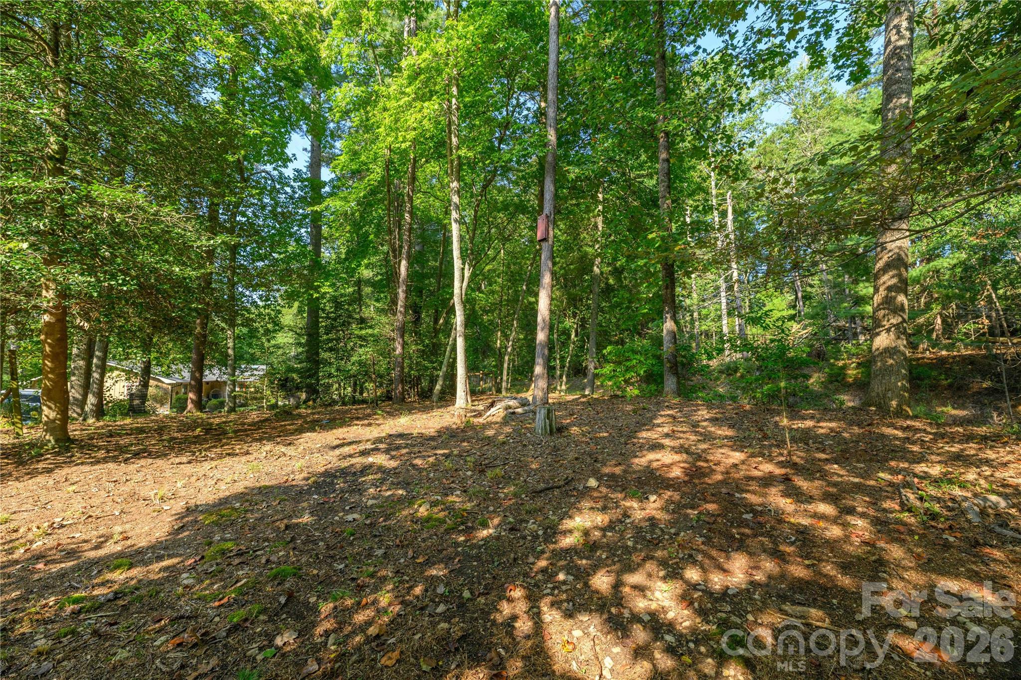 main property photo 29