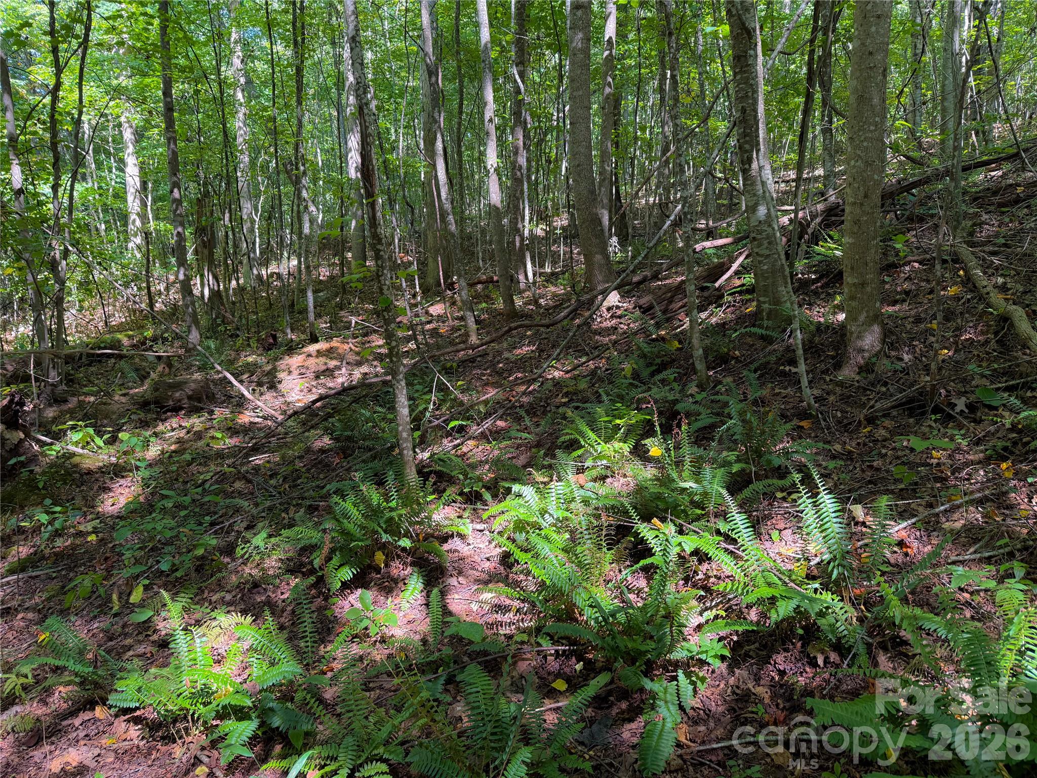 main property photo 11
