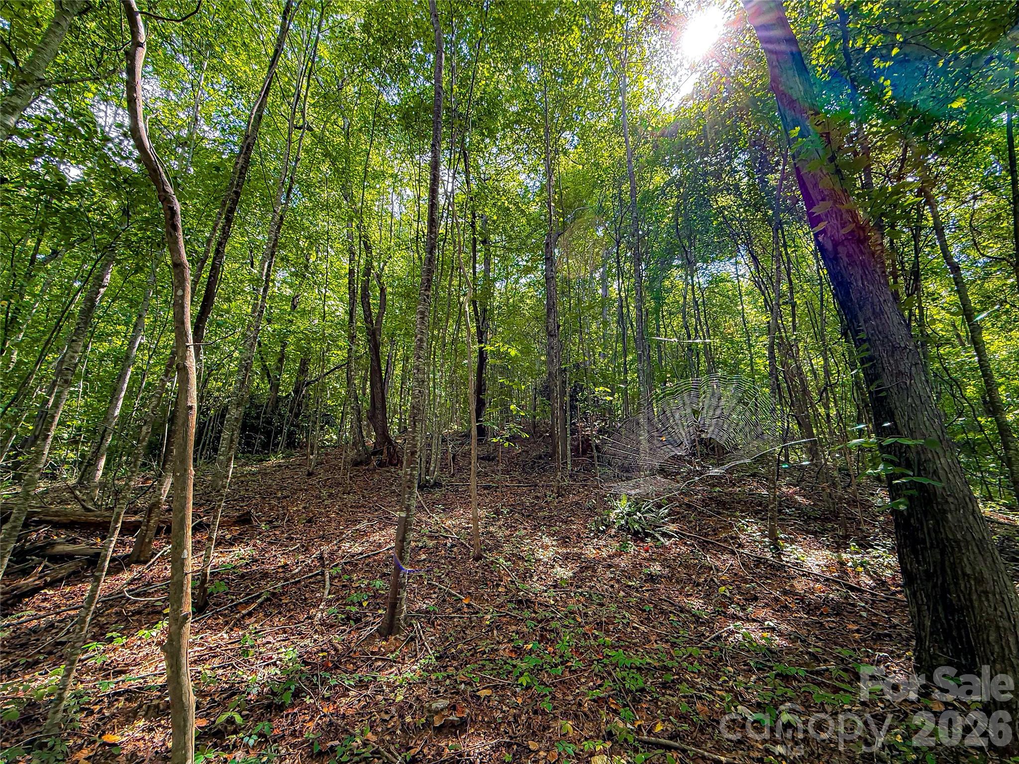 main property photo 13