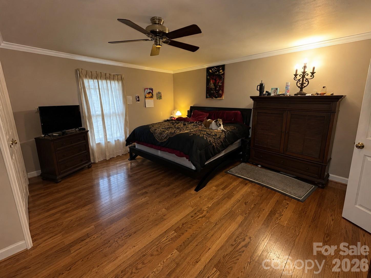 main property photo 13