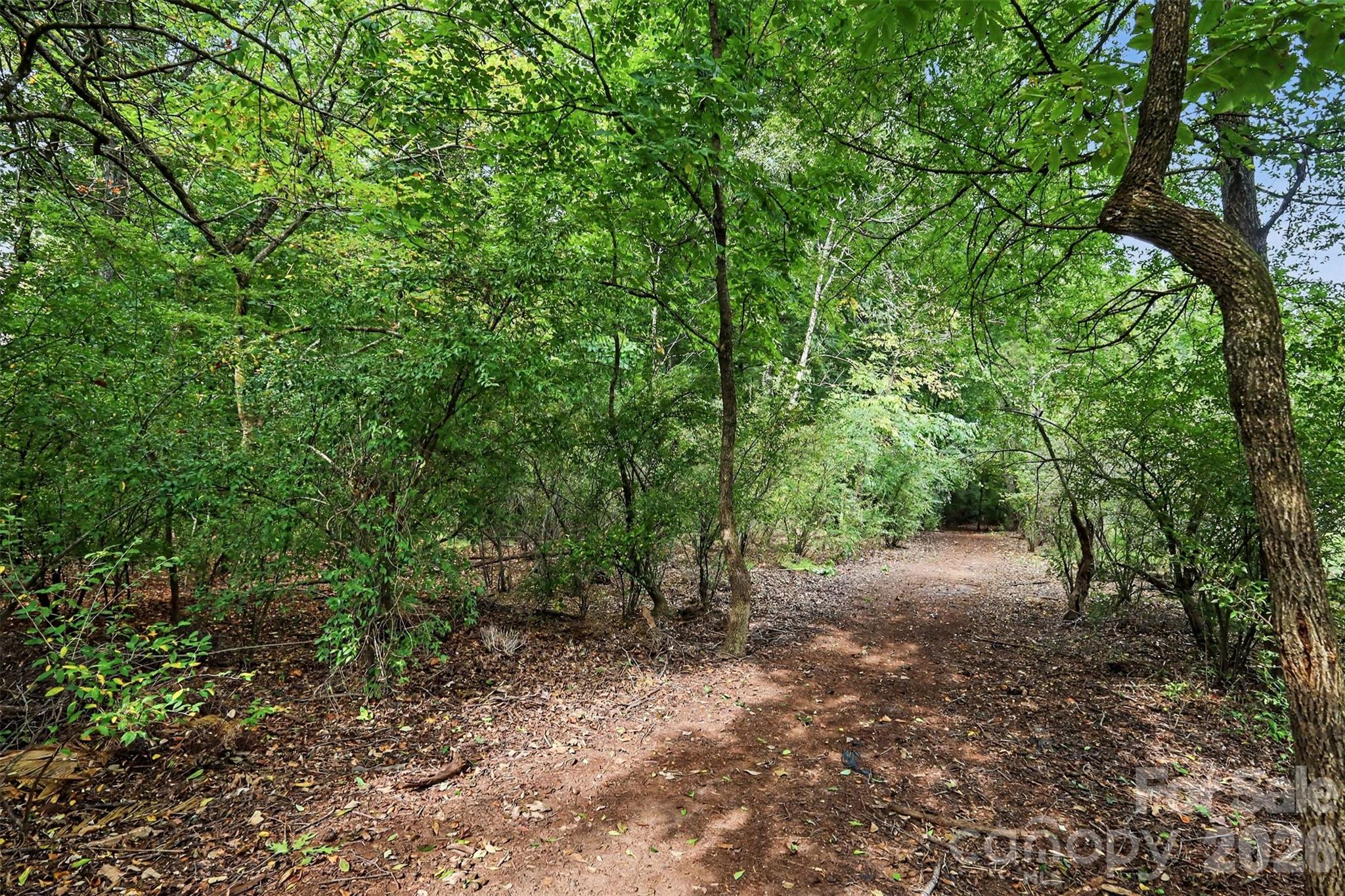 main property photo 45
