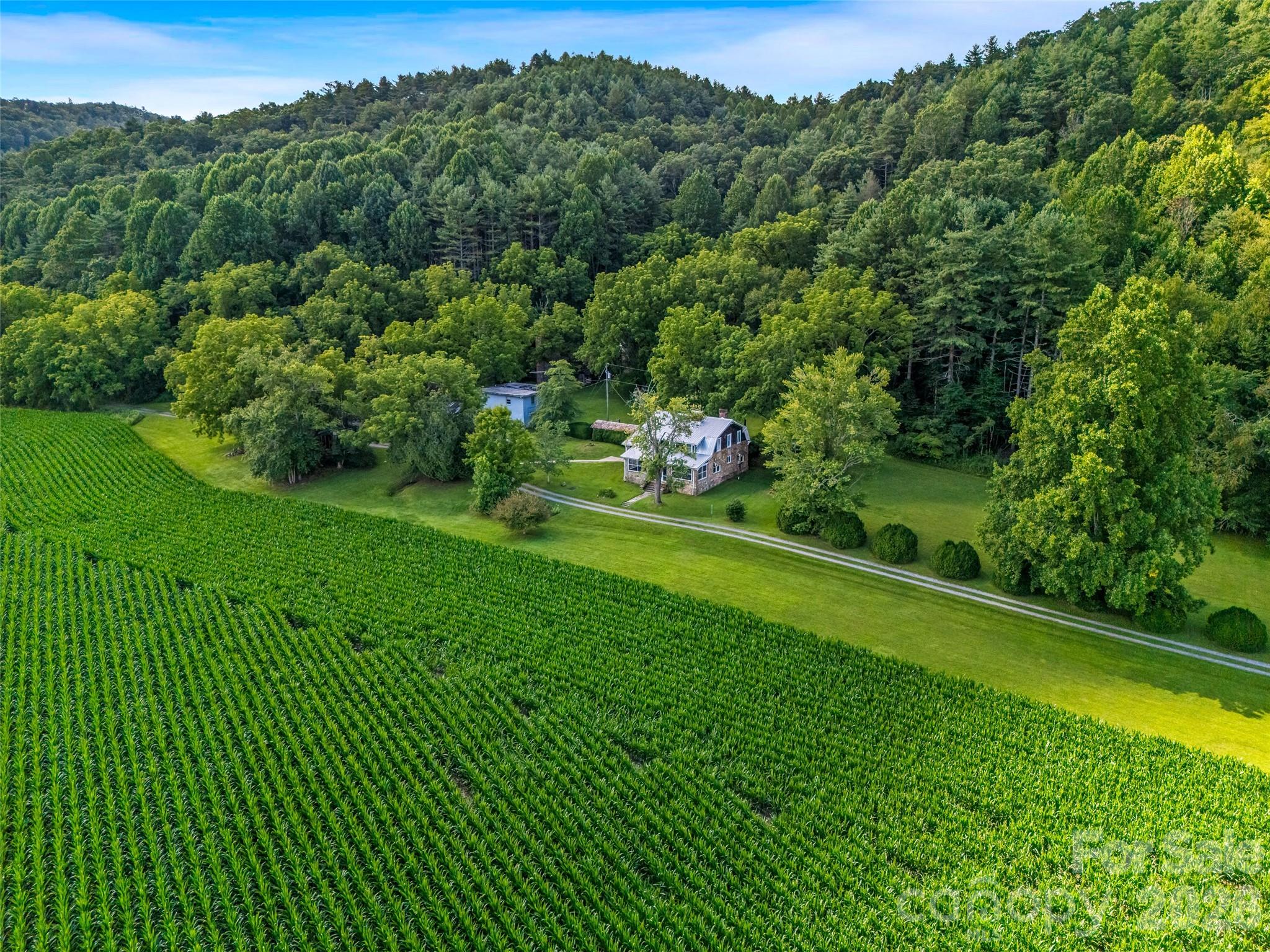 main property photo 33