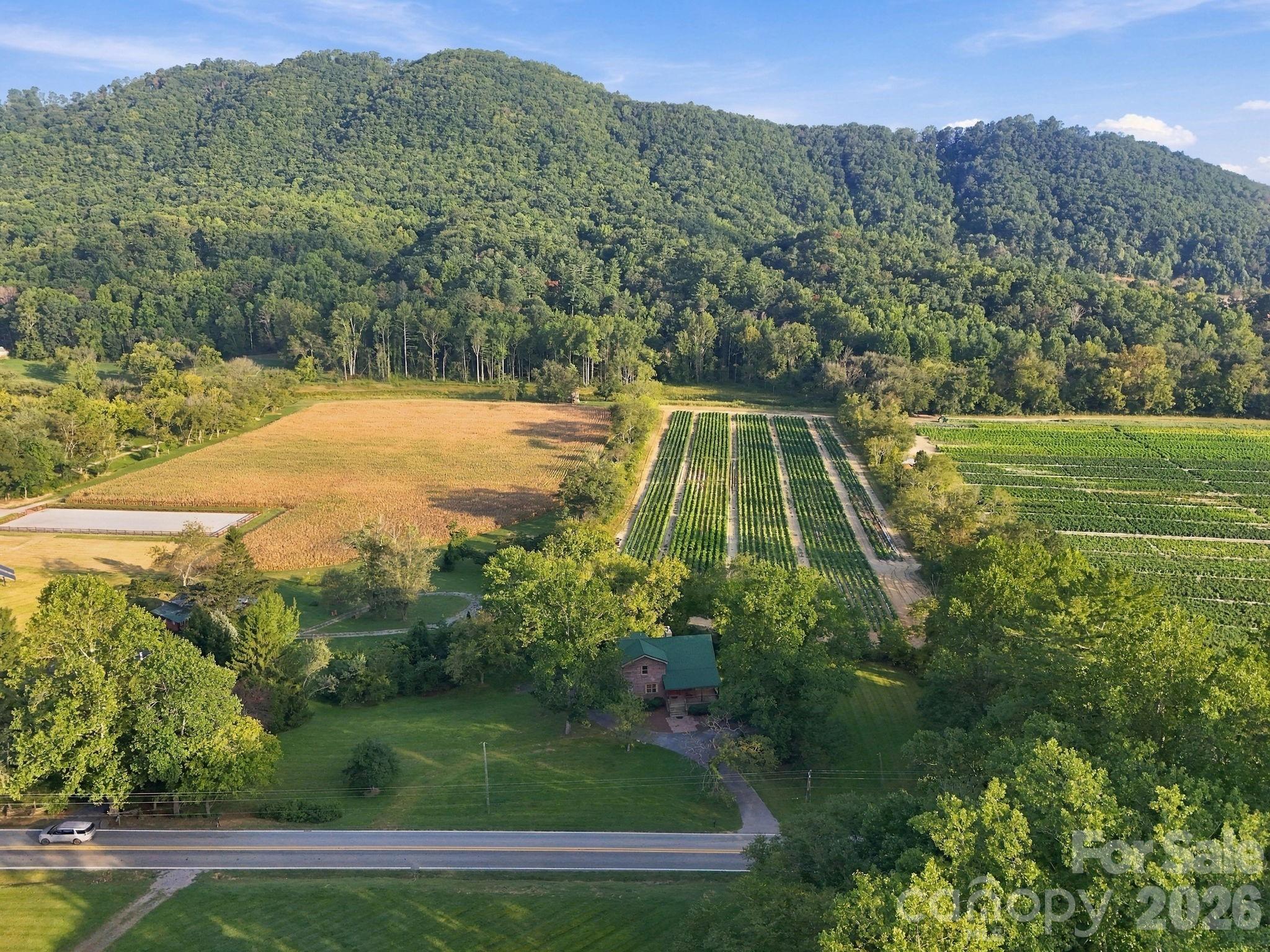 main property photo 2