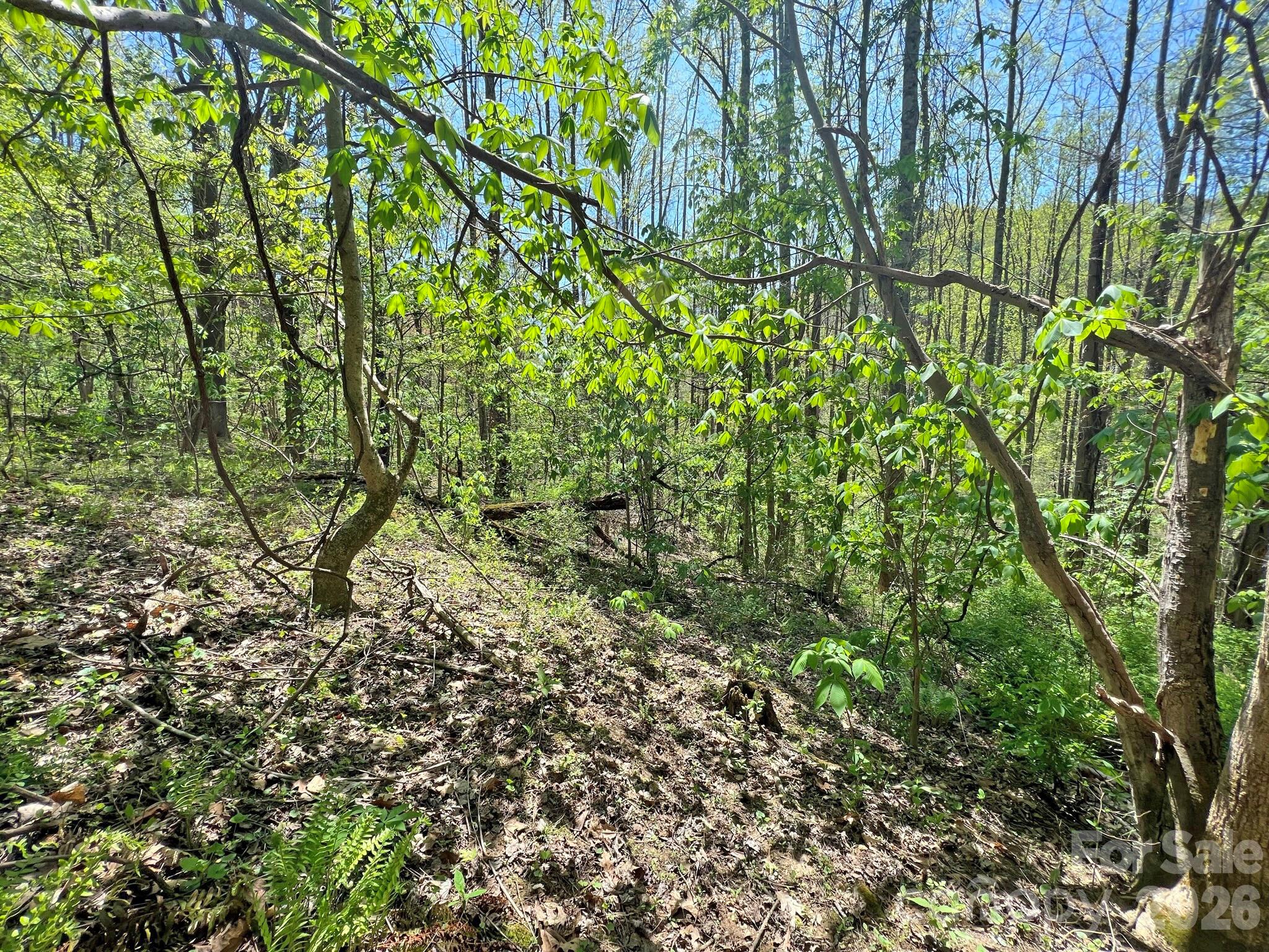 main property photo 11