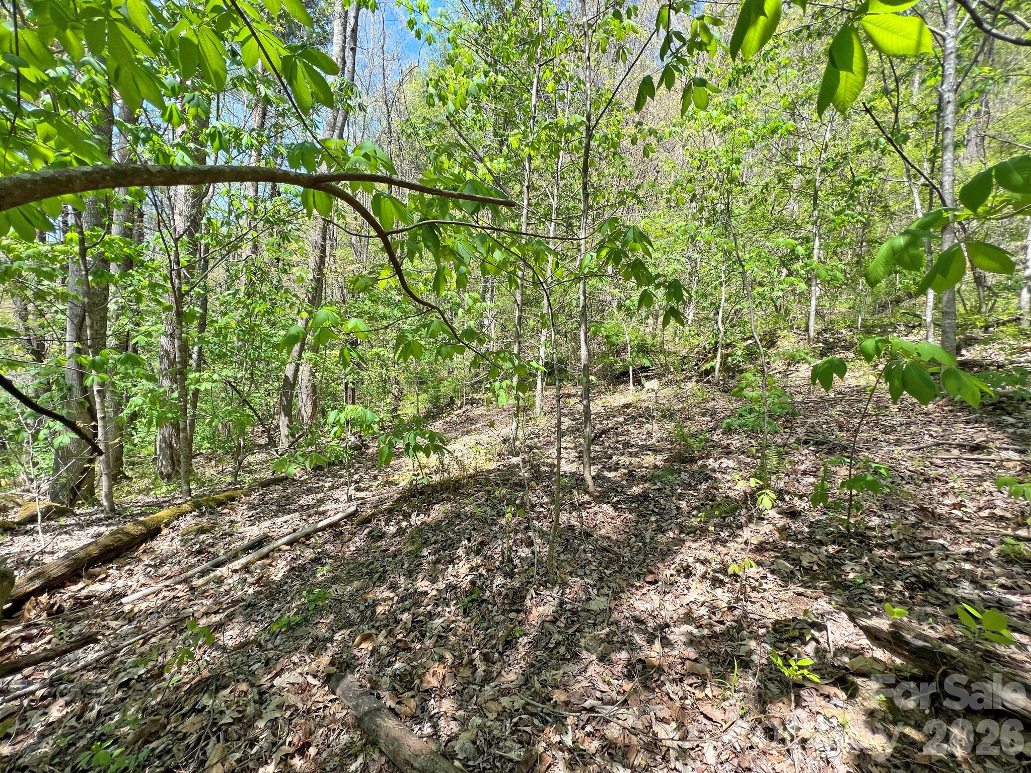 main property photo 18