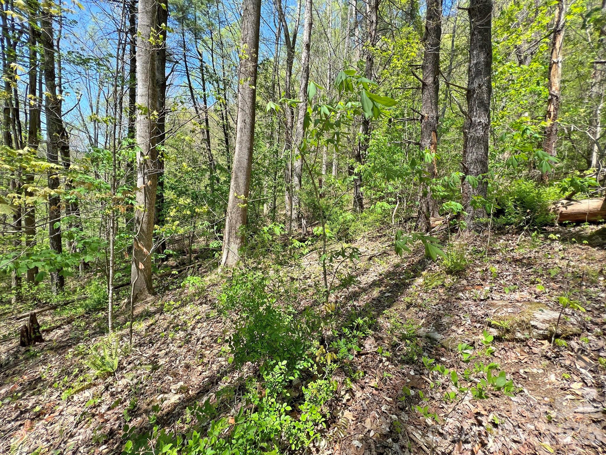 main property photo 23