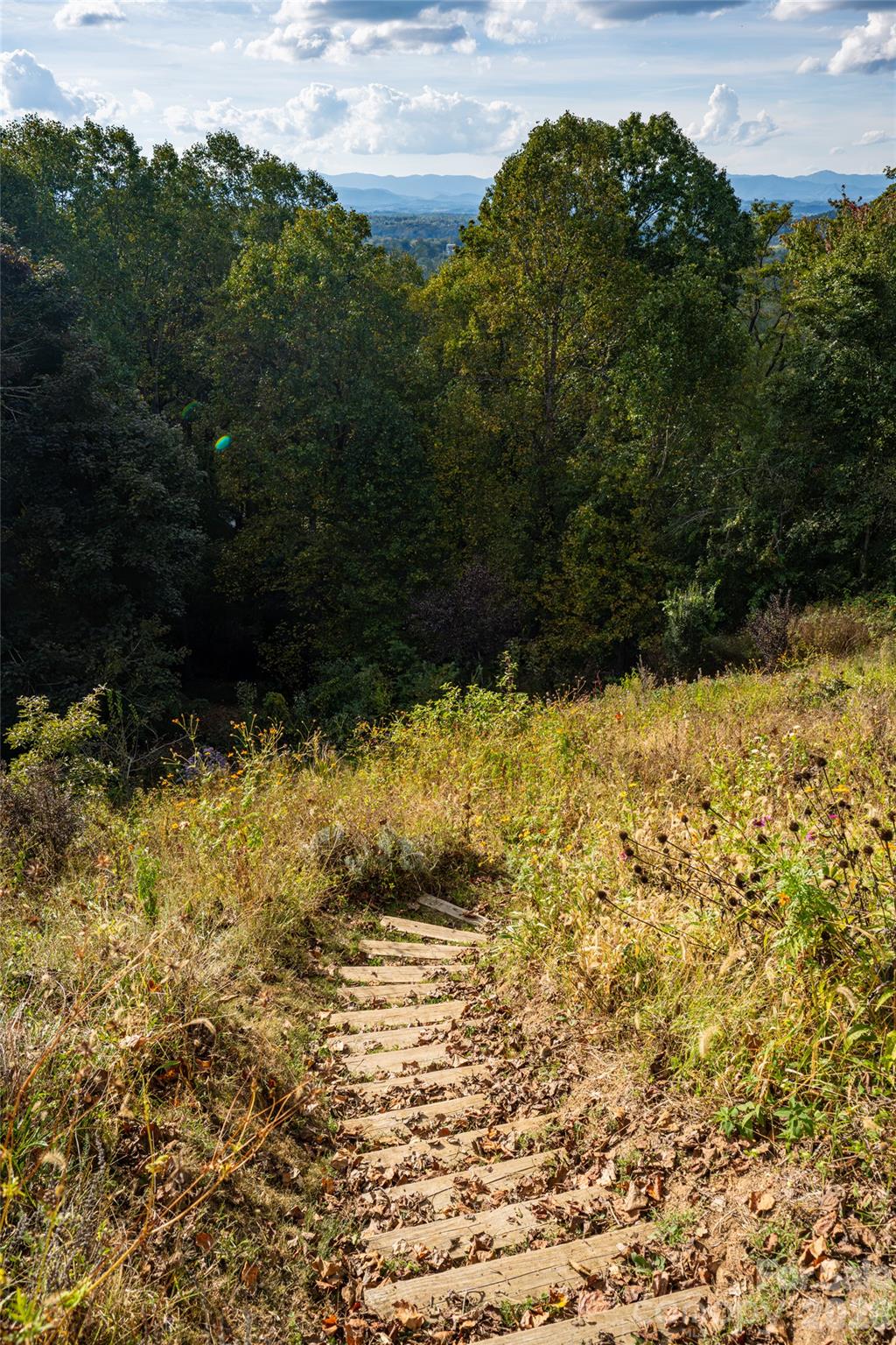 main property photo 46