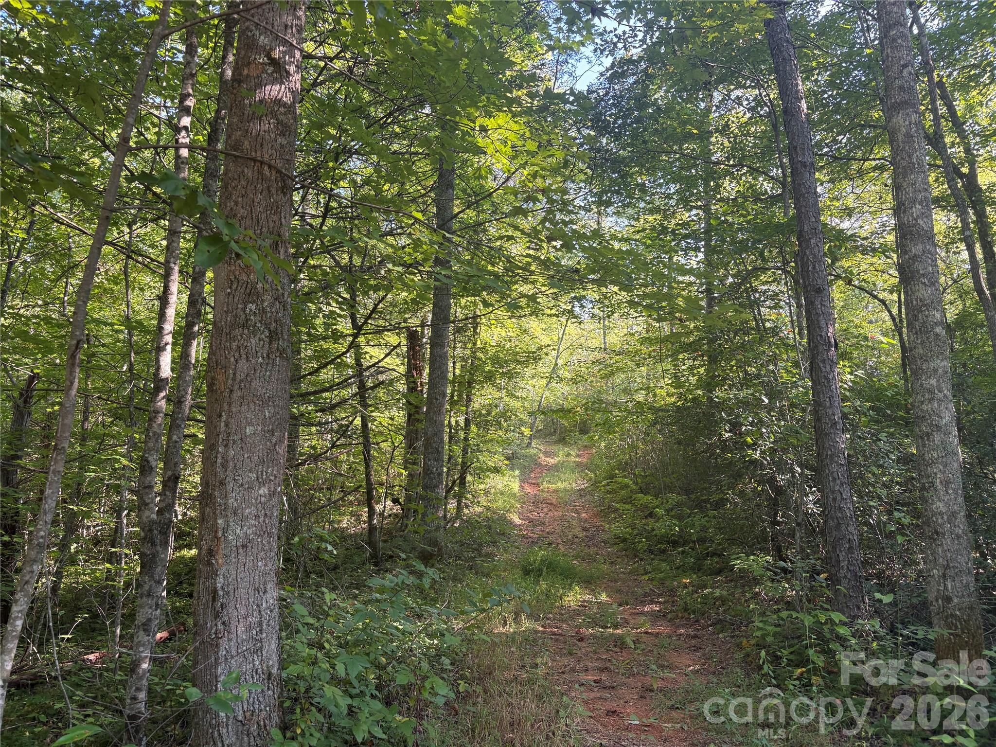 main property photo 45