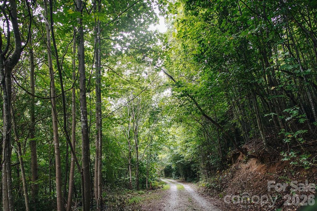 main property photo 43