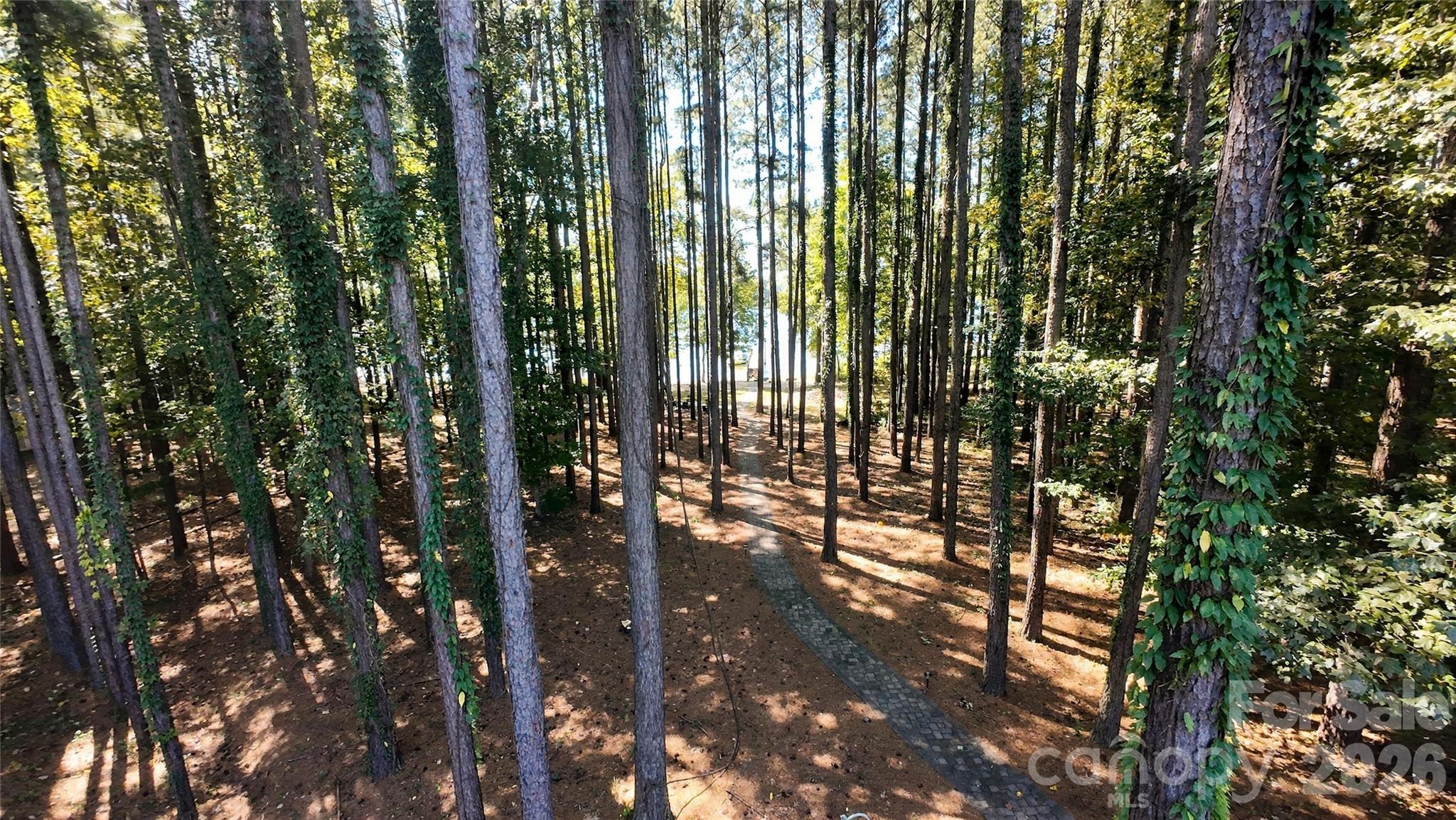 main property photo 41